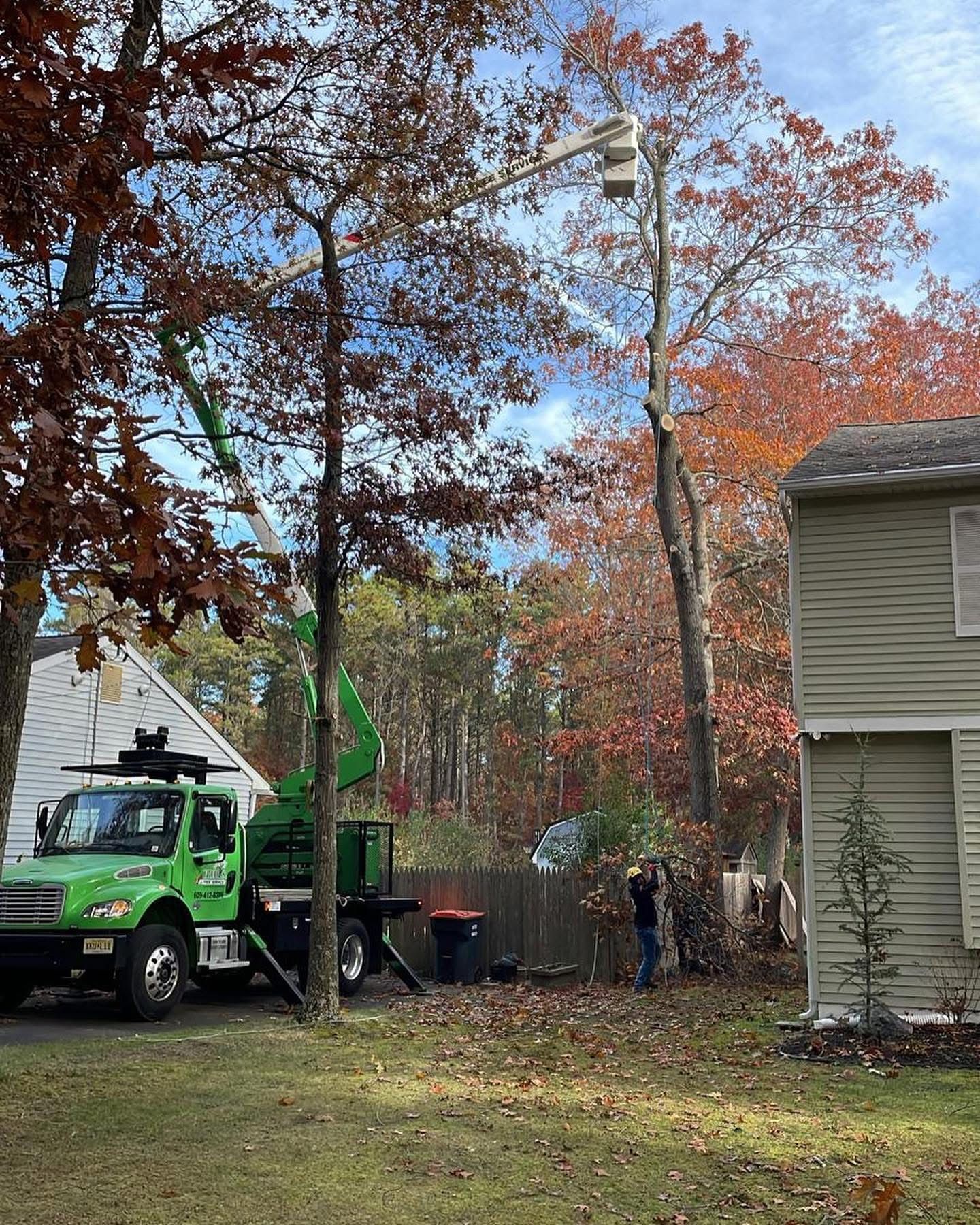 Green utility truck and workers trimming trees beside a house in a leafy yard in autumn