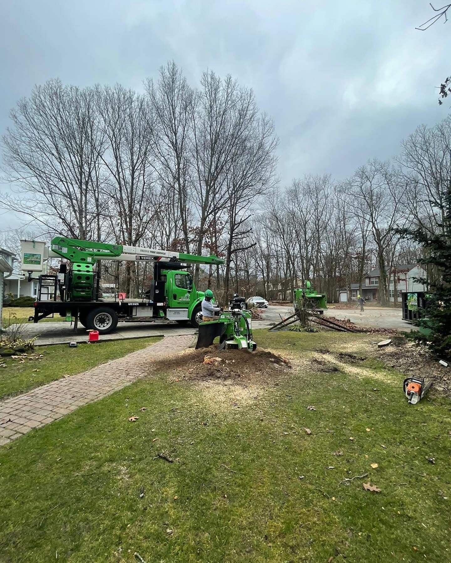 Workers and a green tree truck clearing debris in a park under cloudy skies