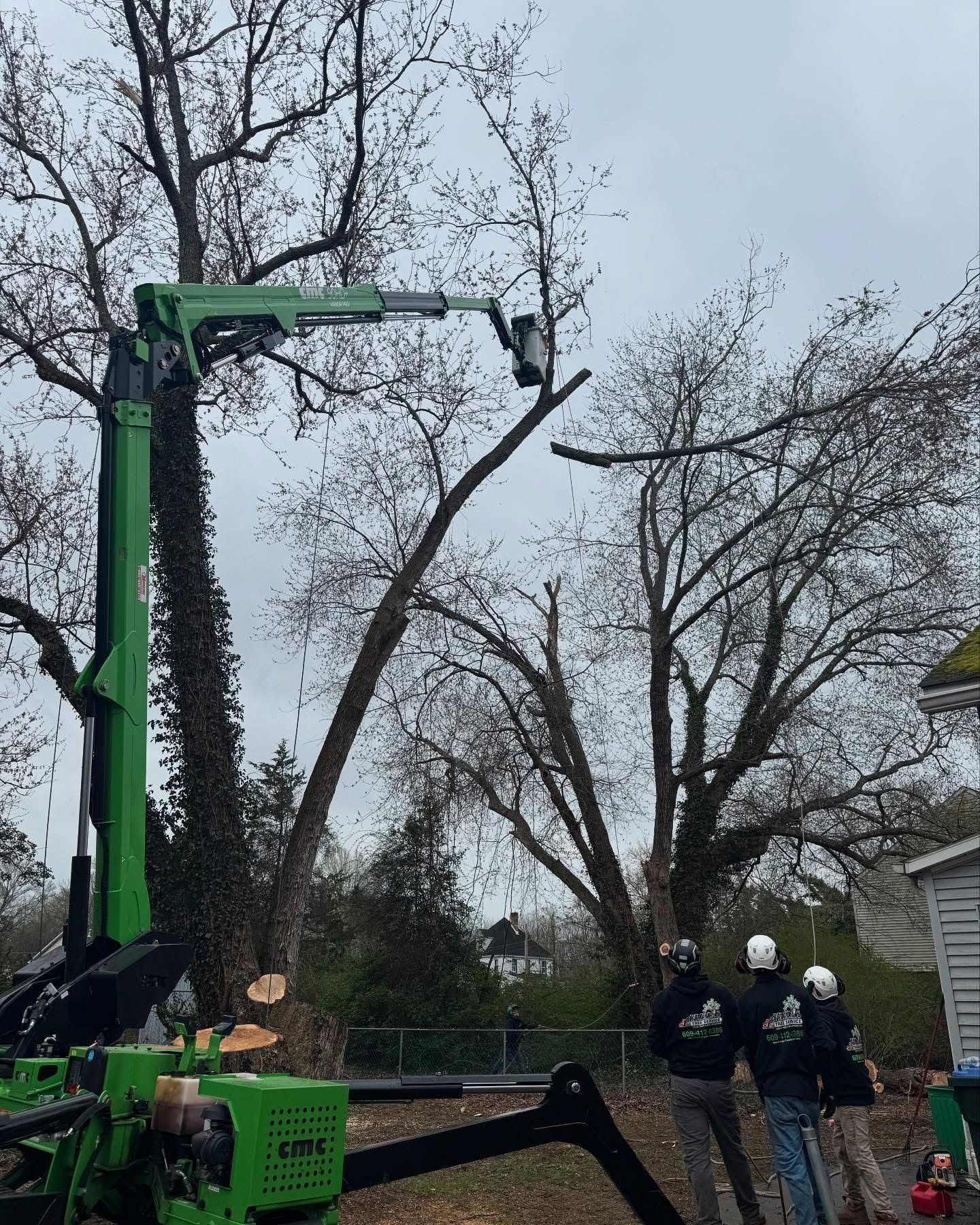 Tree service workers using a crane to remove a tall tree in a yard on a cloudy day