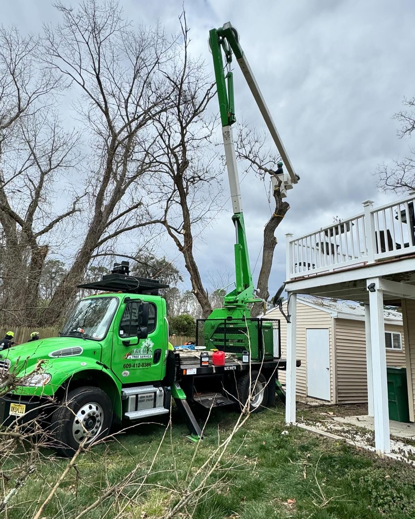 Green tree-trimming truck using a crane to cut branches beside a house and deck