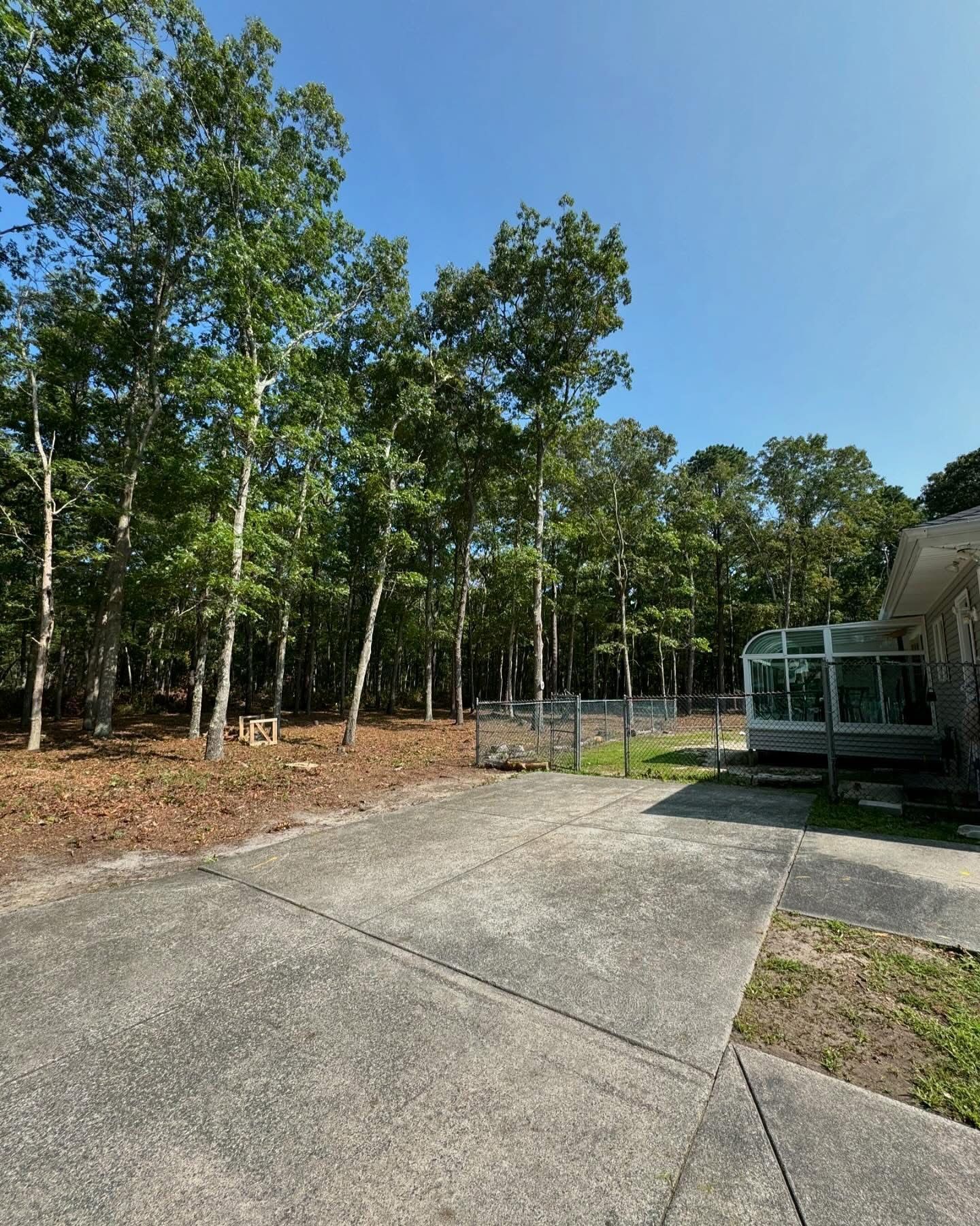 Concrete driveway beside wooded yard and a small deck under a clear blue sky.