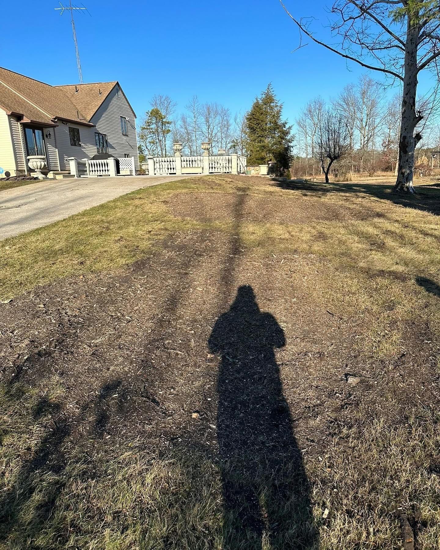 Grassy yard beside a house under a clear blue sky, with a long shadow in the foreground.
