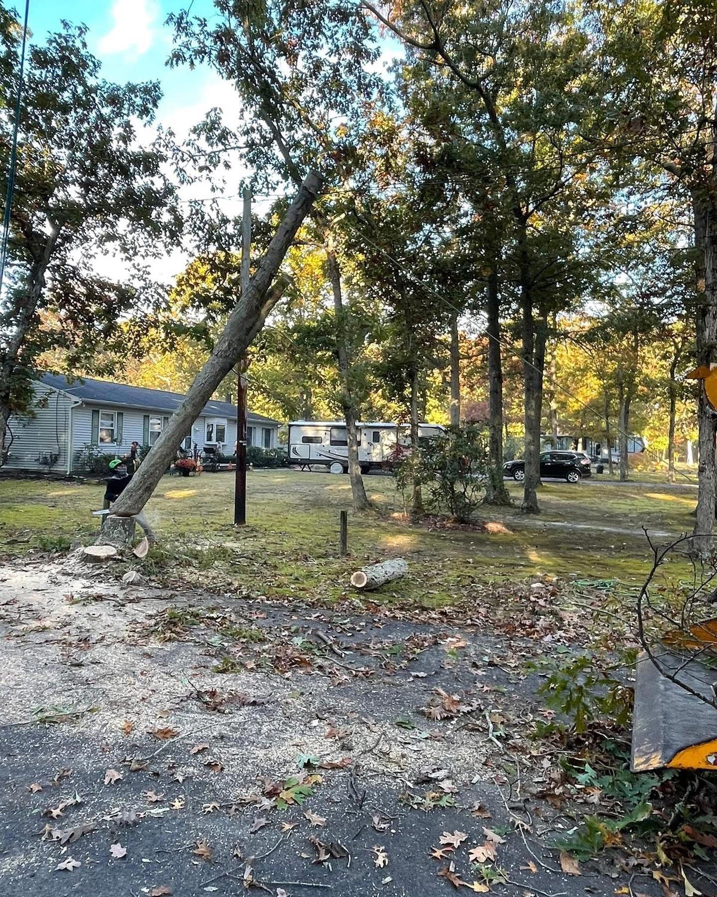 Tree-lined yard with a leaning utility pole, gravel path, and small buildings in the background.