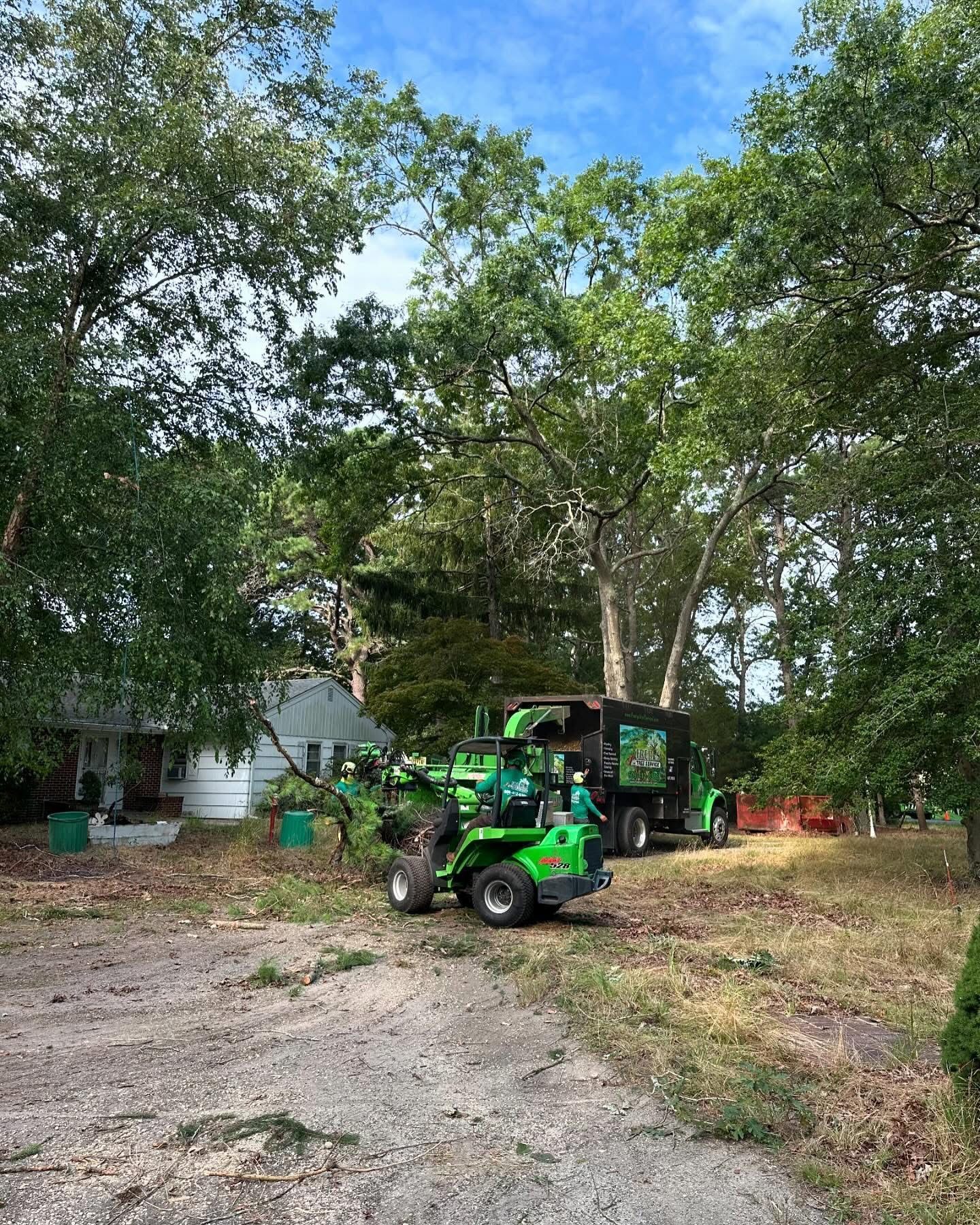 Green tractor parked on a dirt clearing beneath trees in a wooded yard