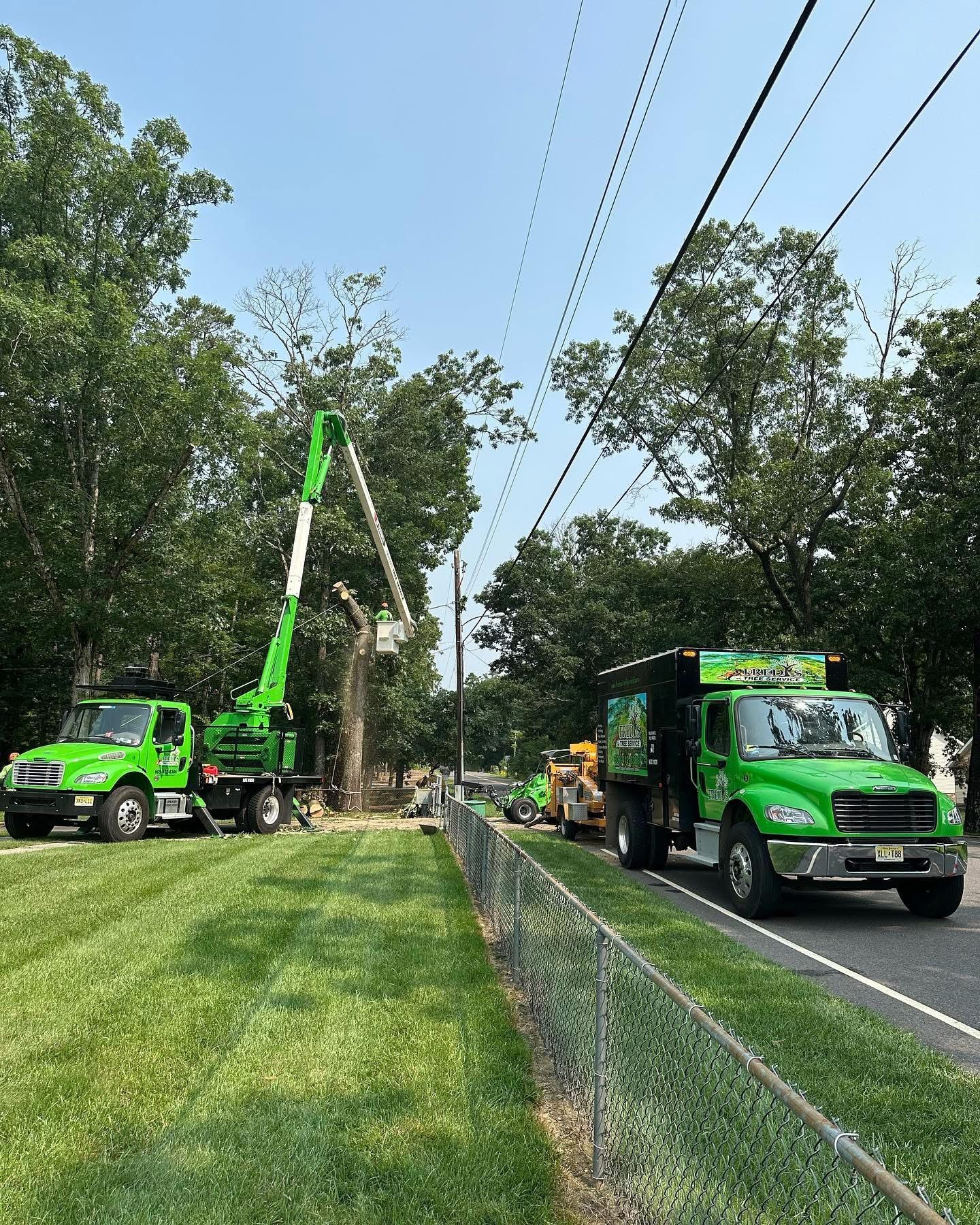 Two green utility trucks and a crane work by roadside trees beside a chain-link fence