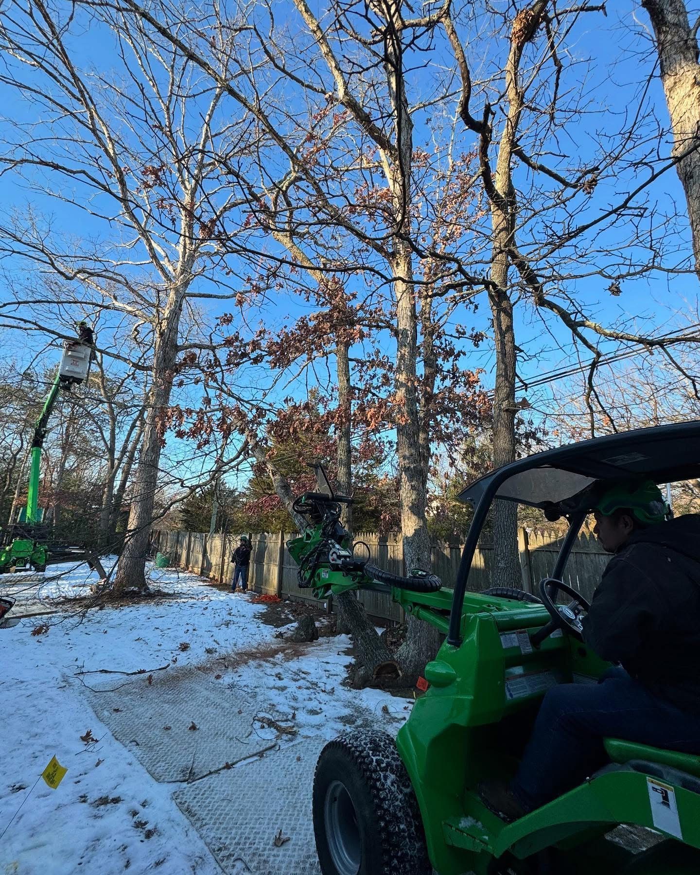 Green utility cart on a snowy path beside bare trees and a building in winter.