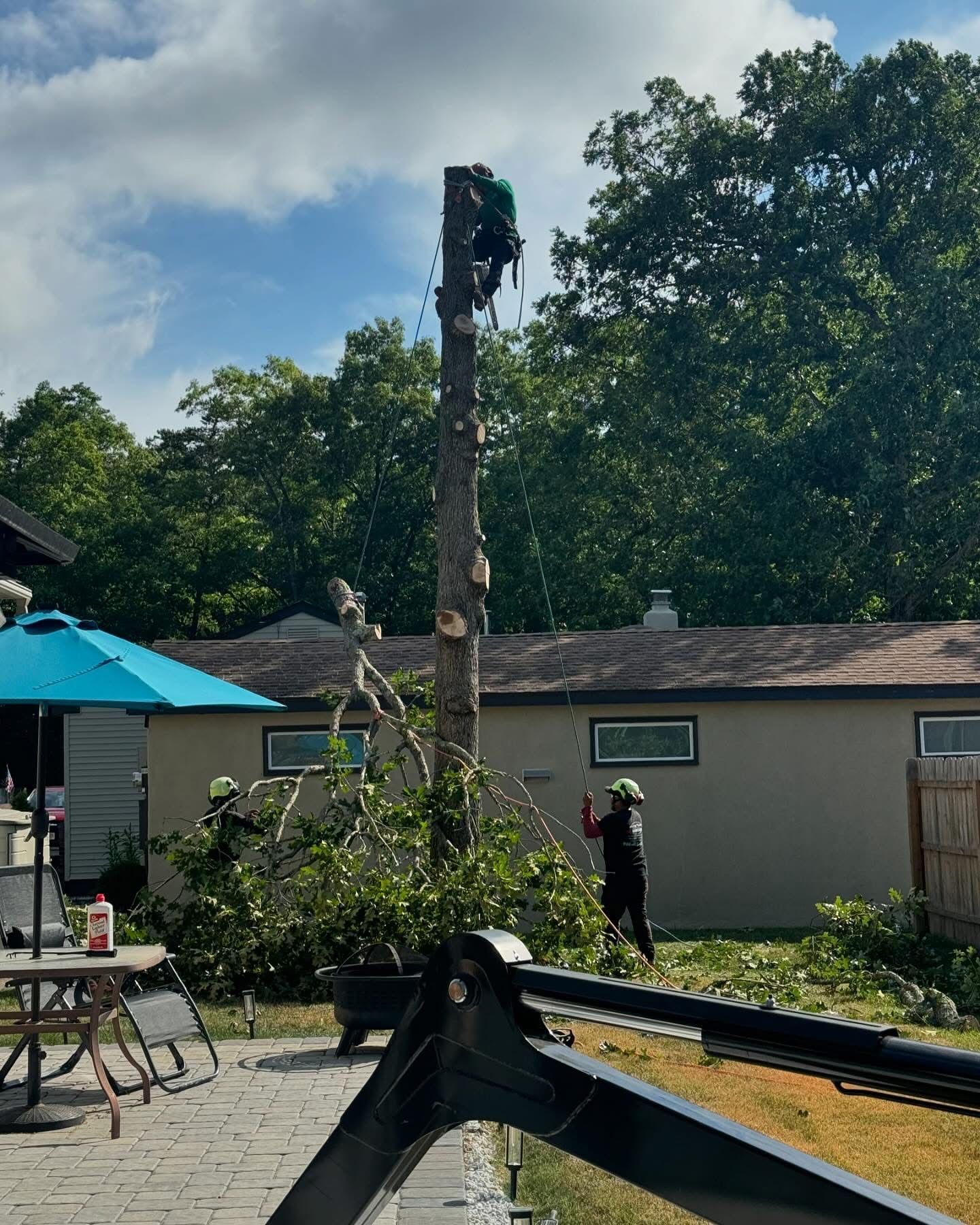 Person trimming a tall tree in a backyard with a bucket truck and patio furniture nearby.