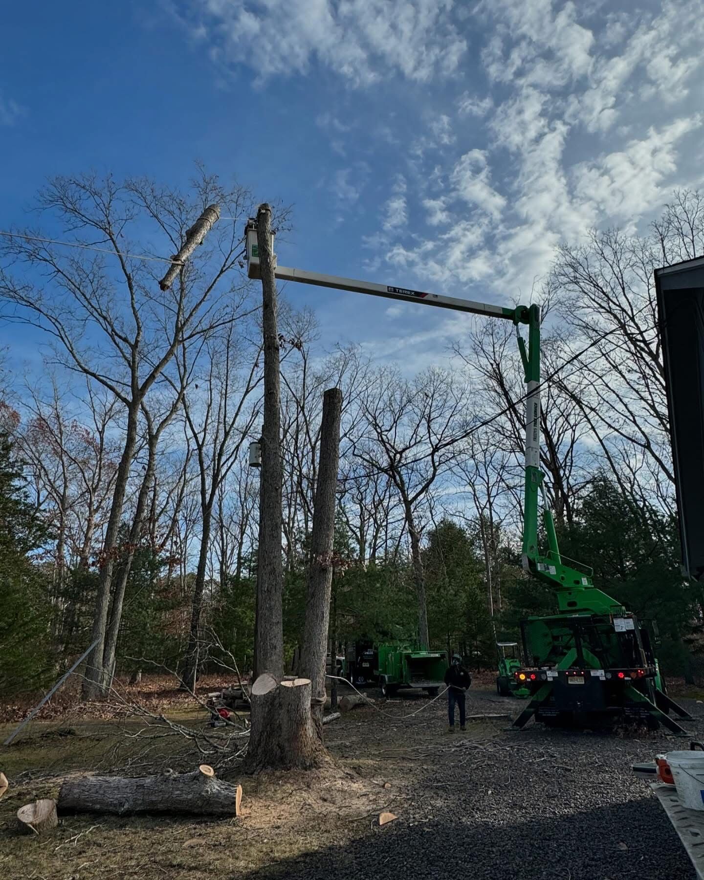 Crane lifting a large tree trunk beside a wooded area, with workers and a green bucket truck below.