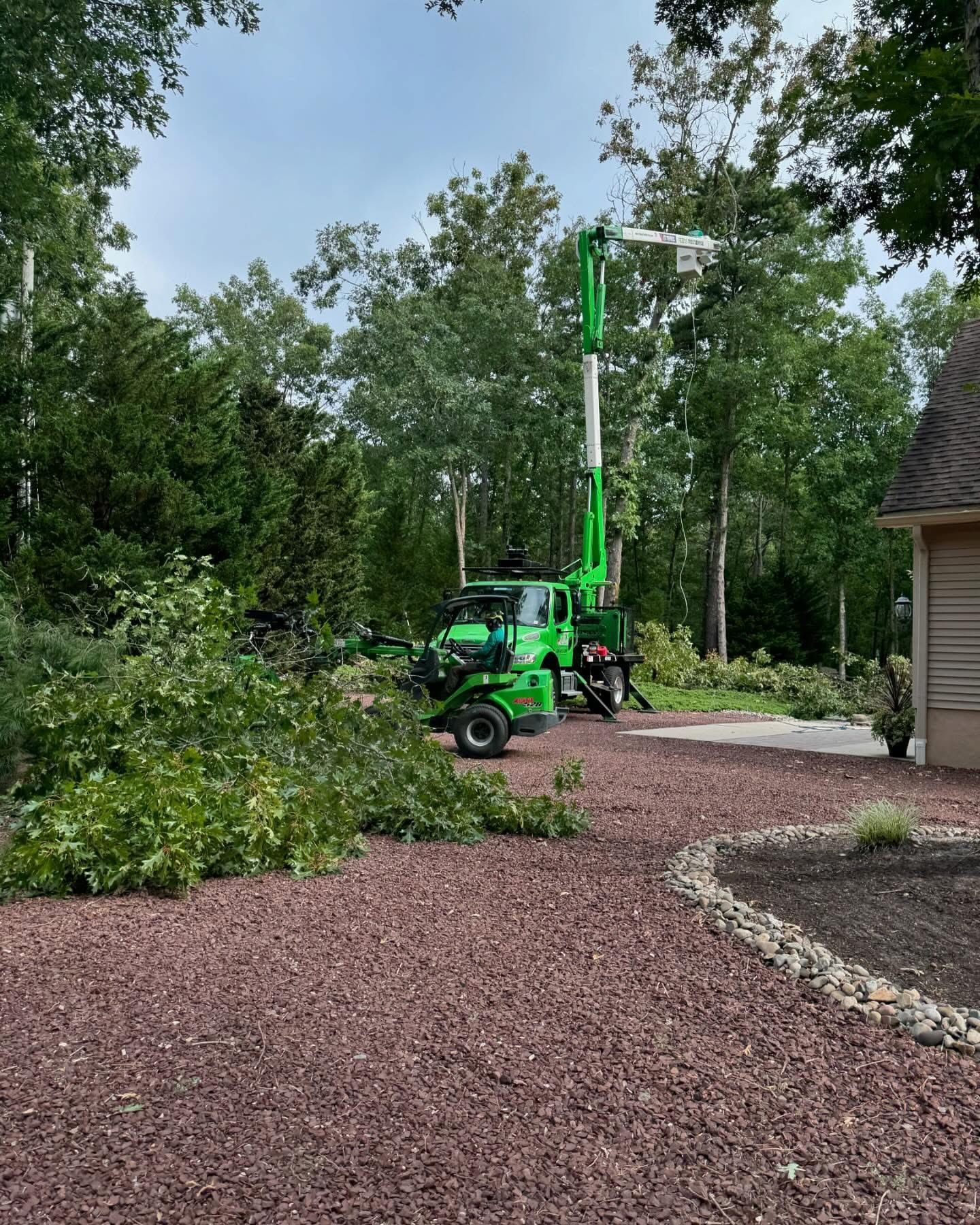 Green tree-trimming machine clearing branches in a landscaped yard beside a house
