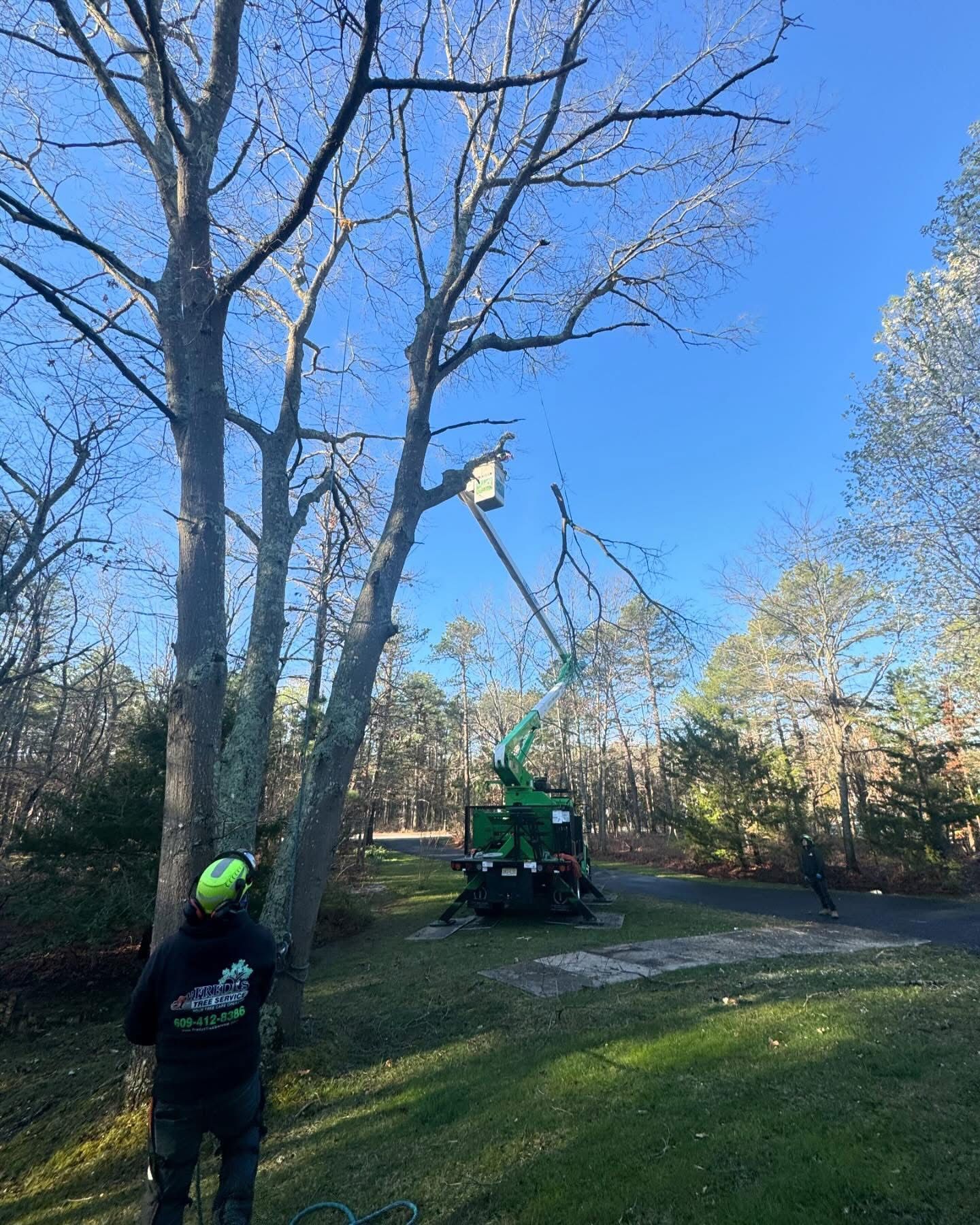 Worker in a green helmet operating a cherry picker to trim tall trees in a sunny yard.