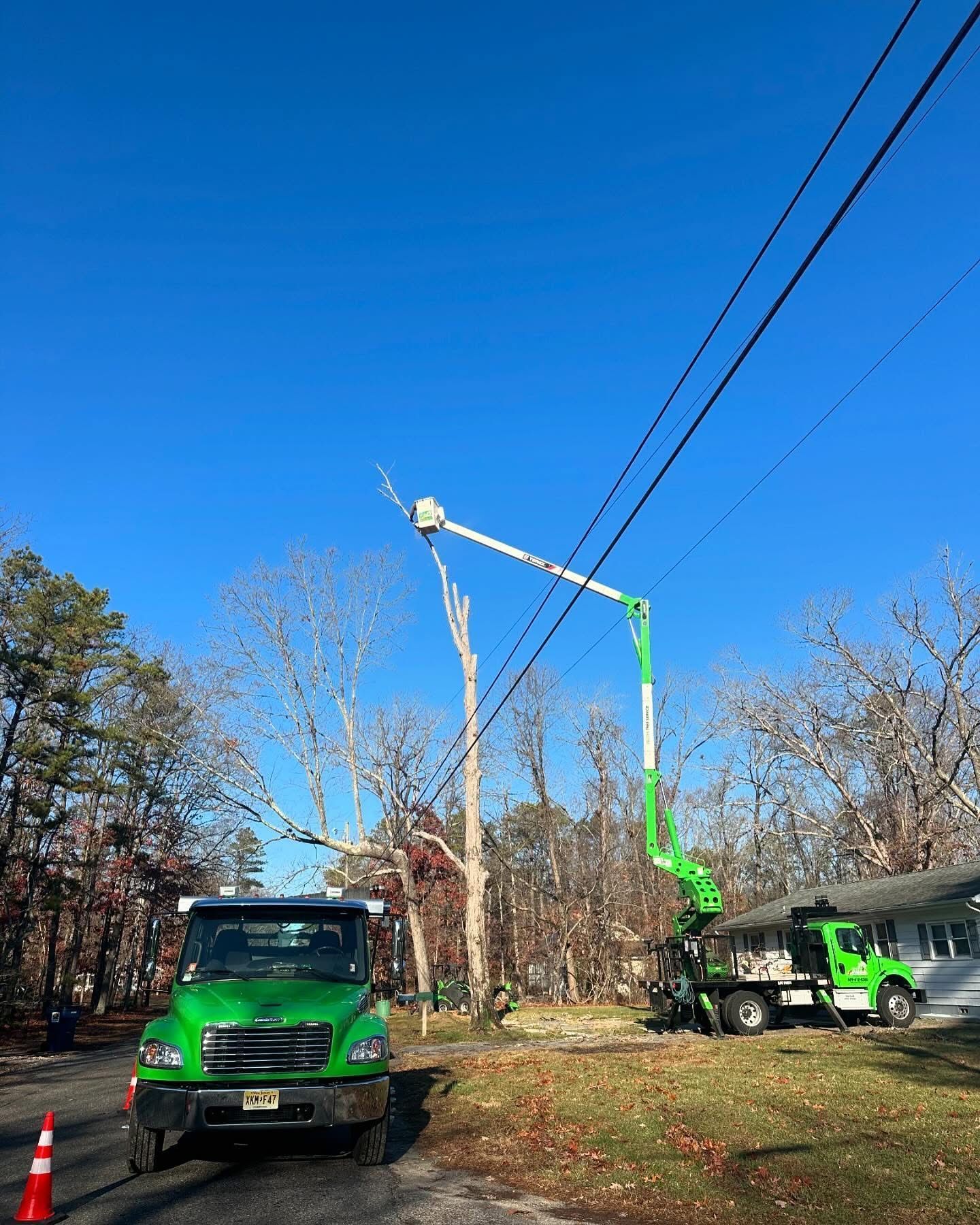 Two green utility trucks with boom lifts working near power lines in a wooded area under a blue sky