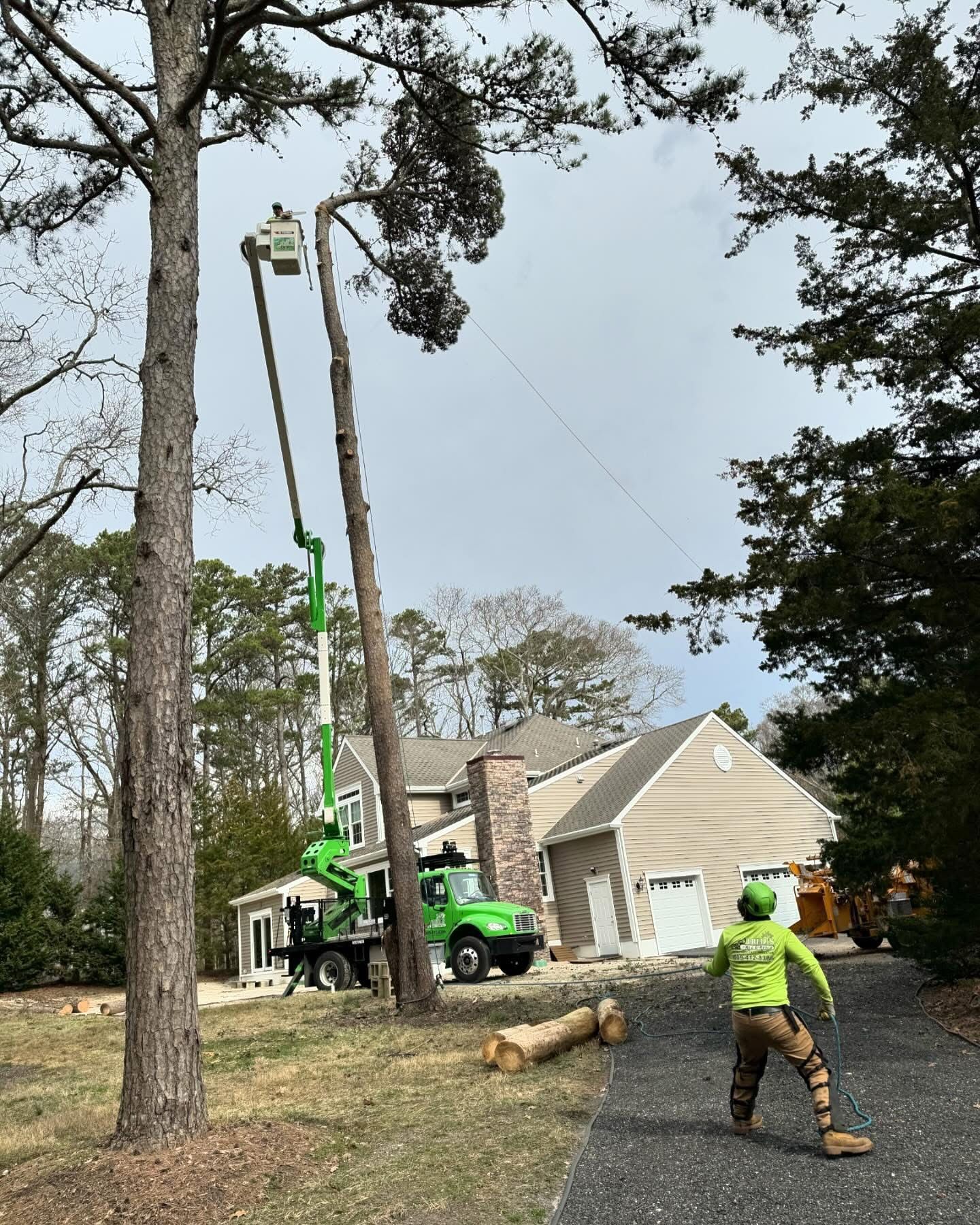 Worker trimming tall tree near house with lift truck and log on ground