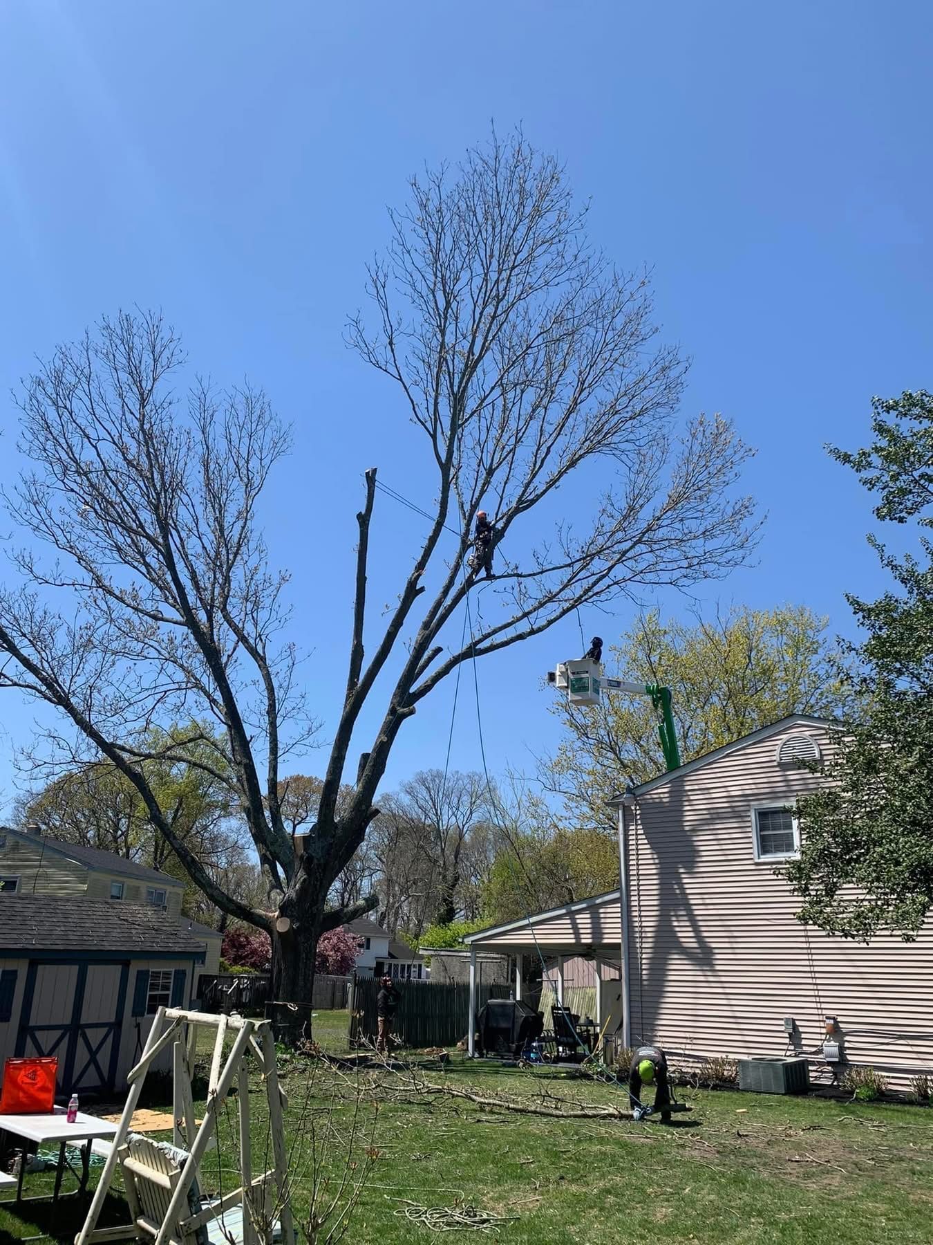 Leafless tree in a sunny backyard beside a beige house, with grass, patio items, and a blue sky