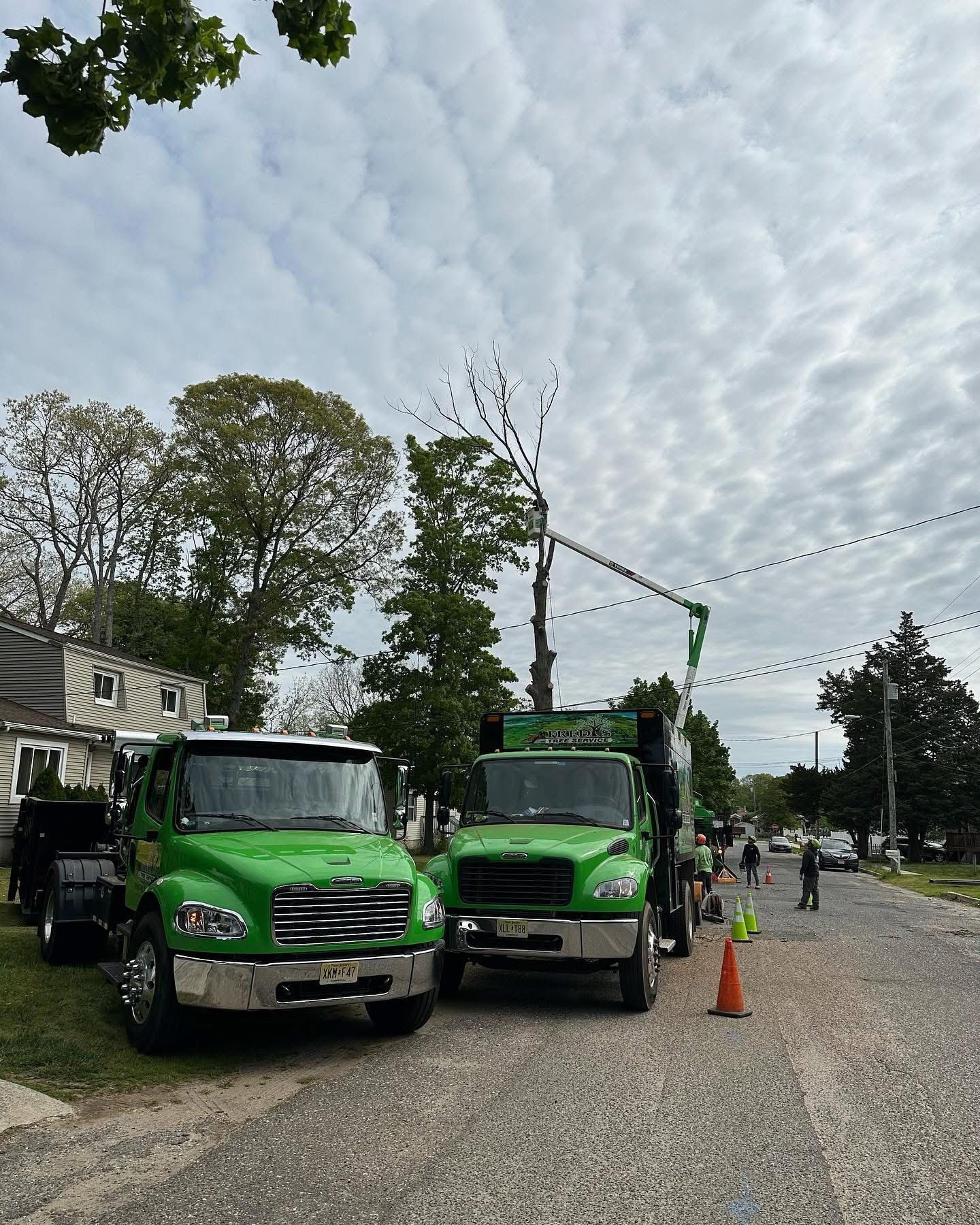 Two green utility trucks parked on a roadside under a cloudy sky, with cones and workers nearby.