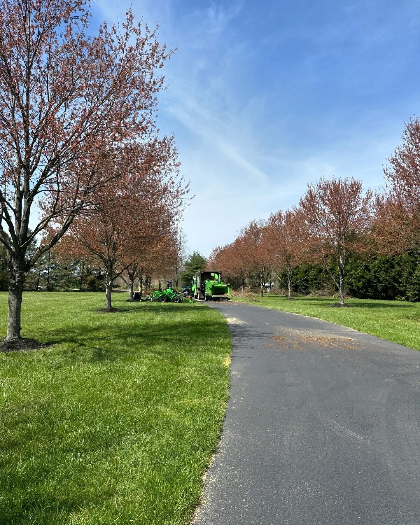 Park path lined with spring trees and grass, with a green maintenance vehicle in the distance.
