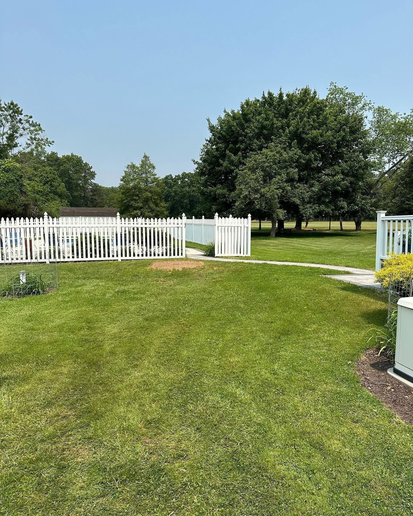 Sunny backyard with green lawn, white picket fence, and trees beyond the yard.