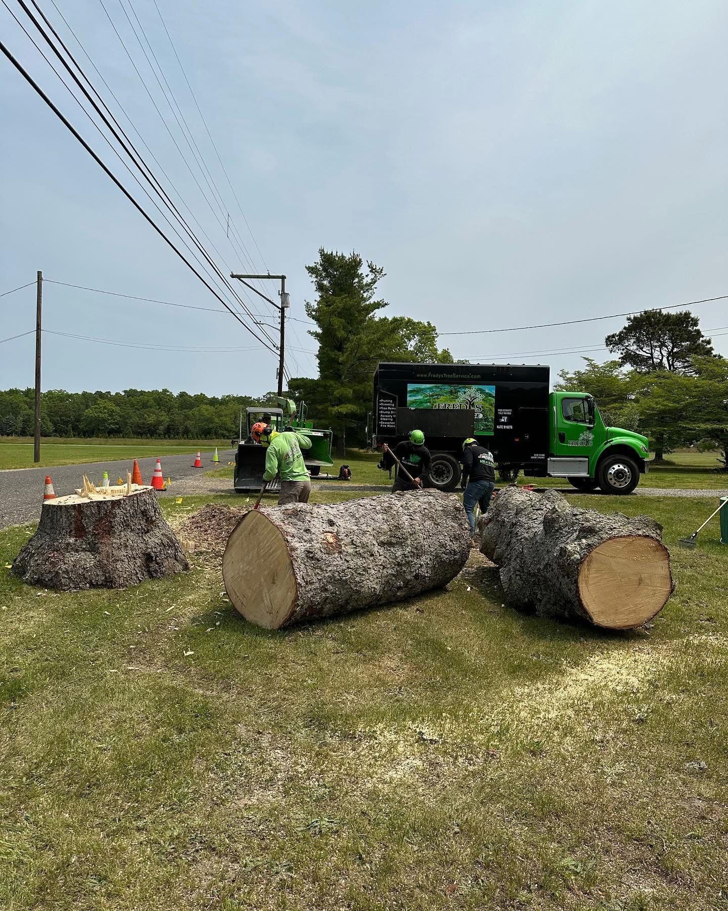 Workers load cut logs beside a green truck on a roadside in a grassy field
