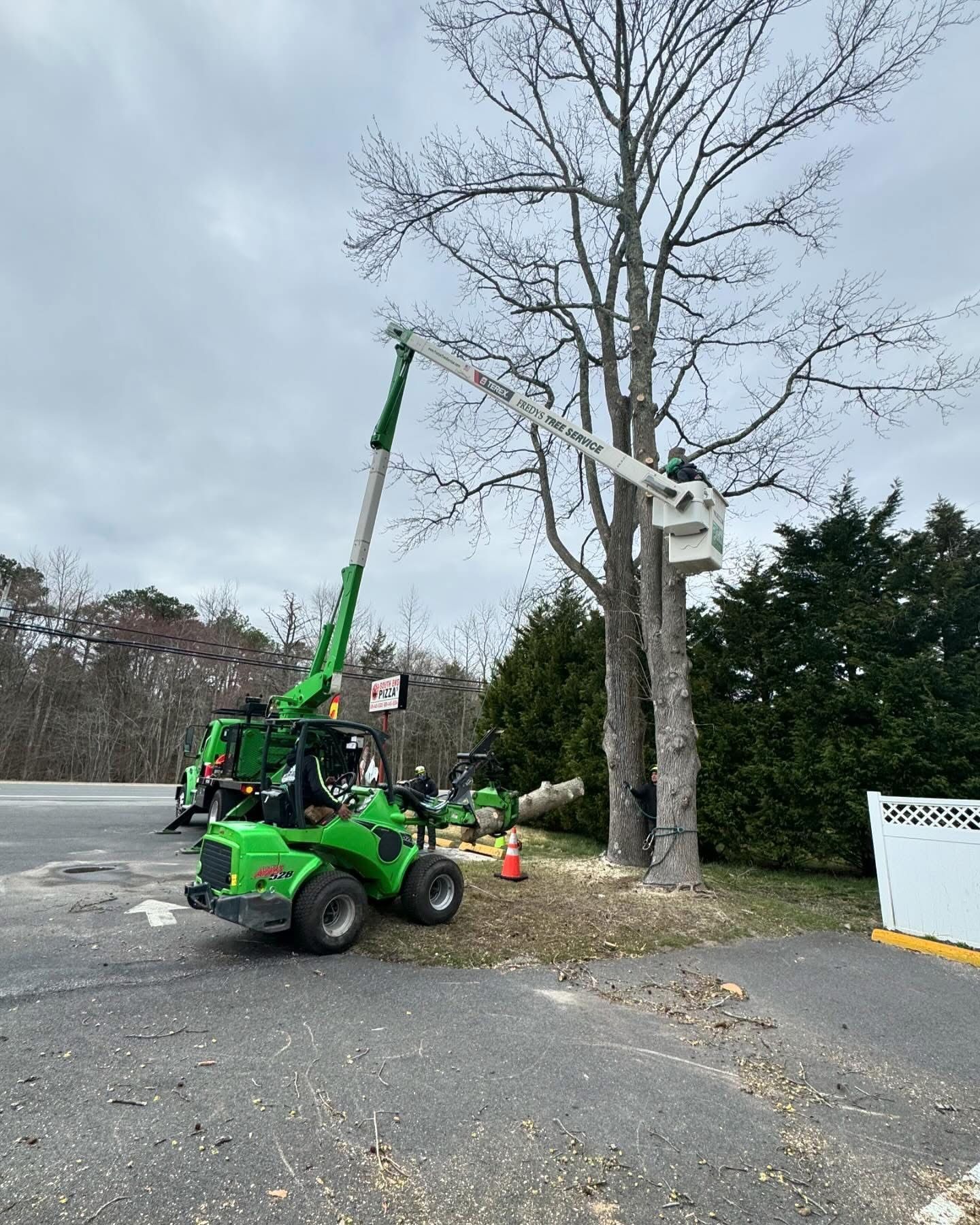 Green boom lift trims a tall leafless tree in a driveway beside a paved road.