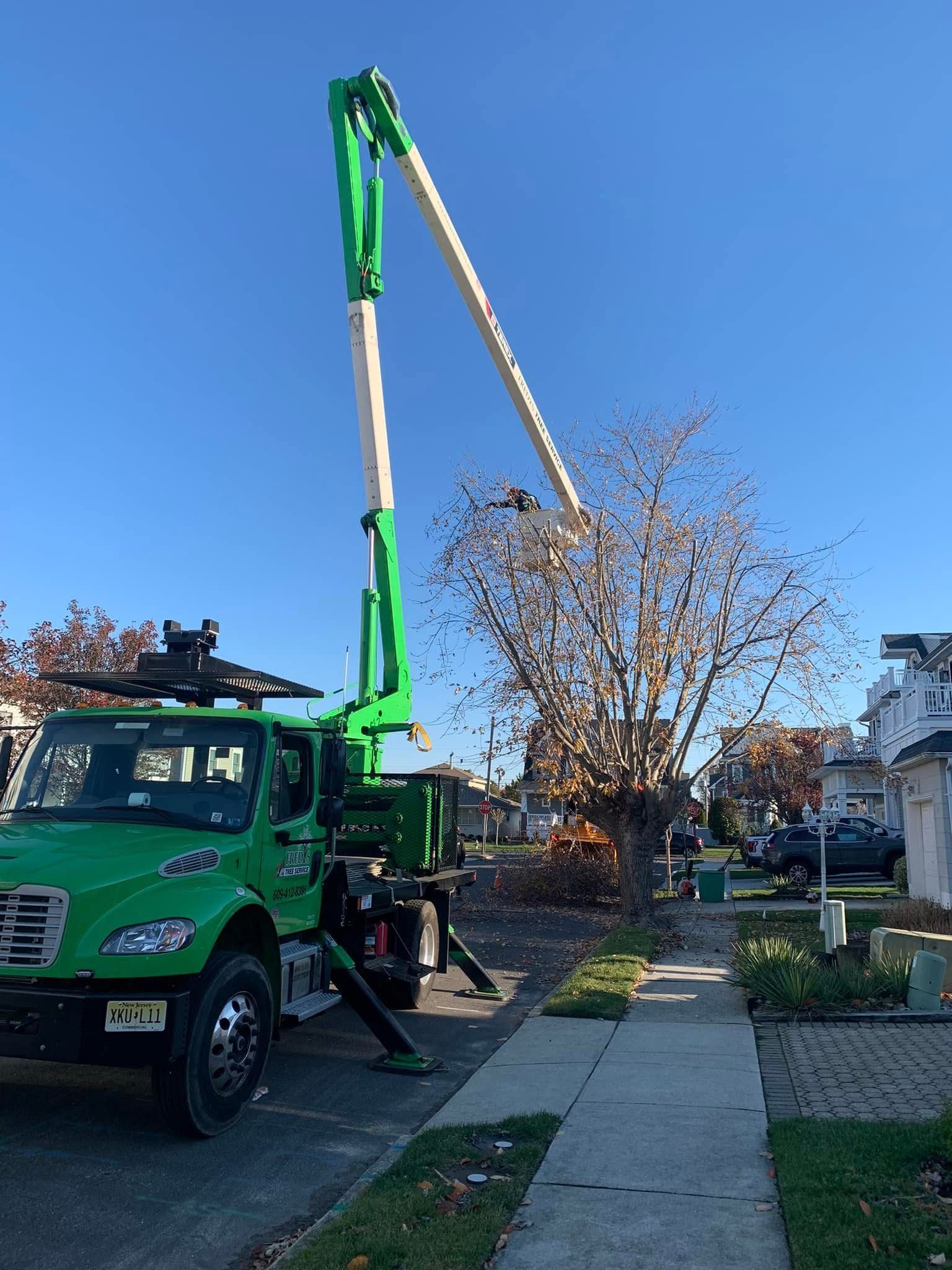 Green crane truck lifting a large tree over a residential sidewalk and front yard