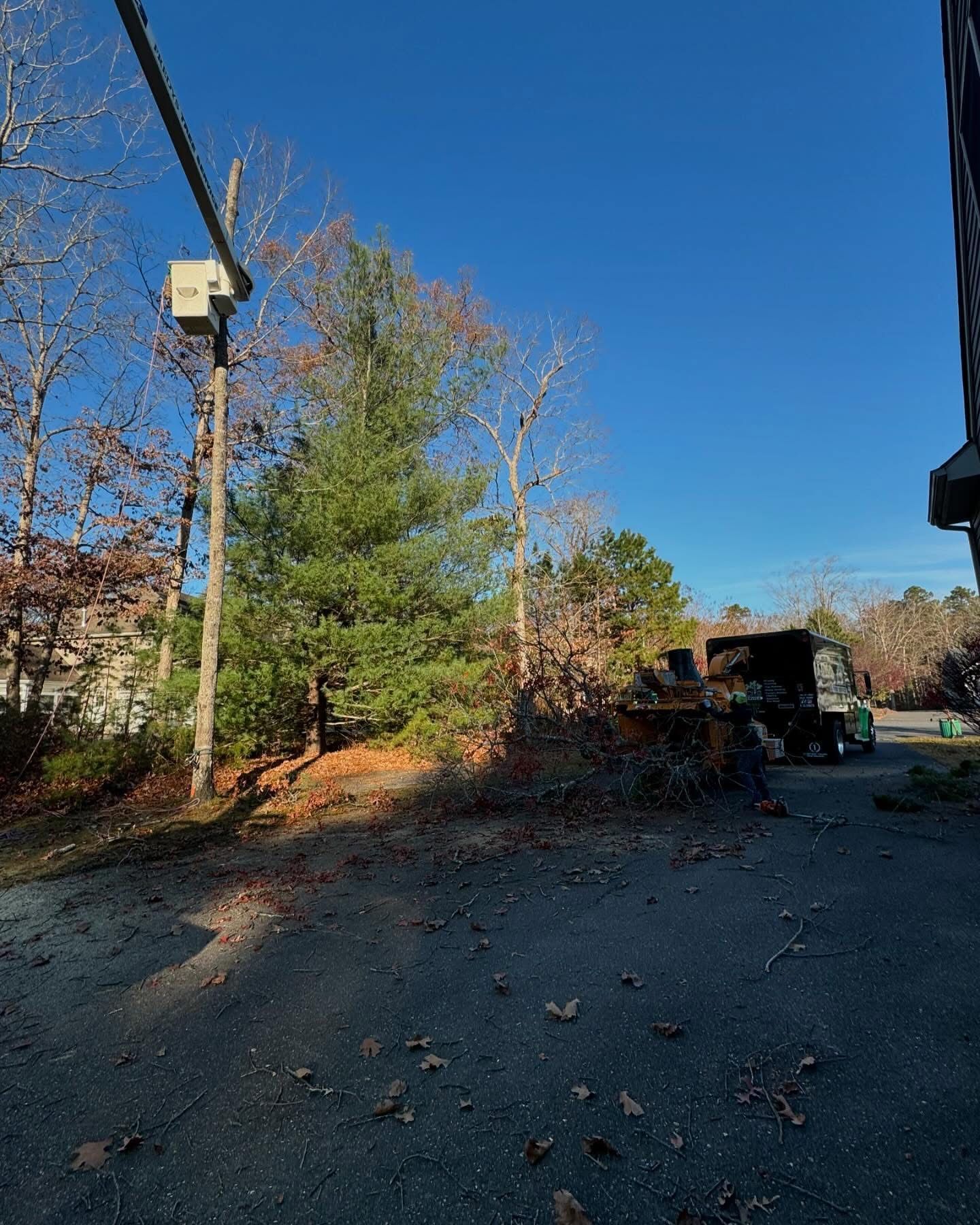 Rural gravel lot with trees, a utility pole, and a parked vehicle under a clear blue sky.