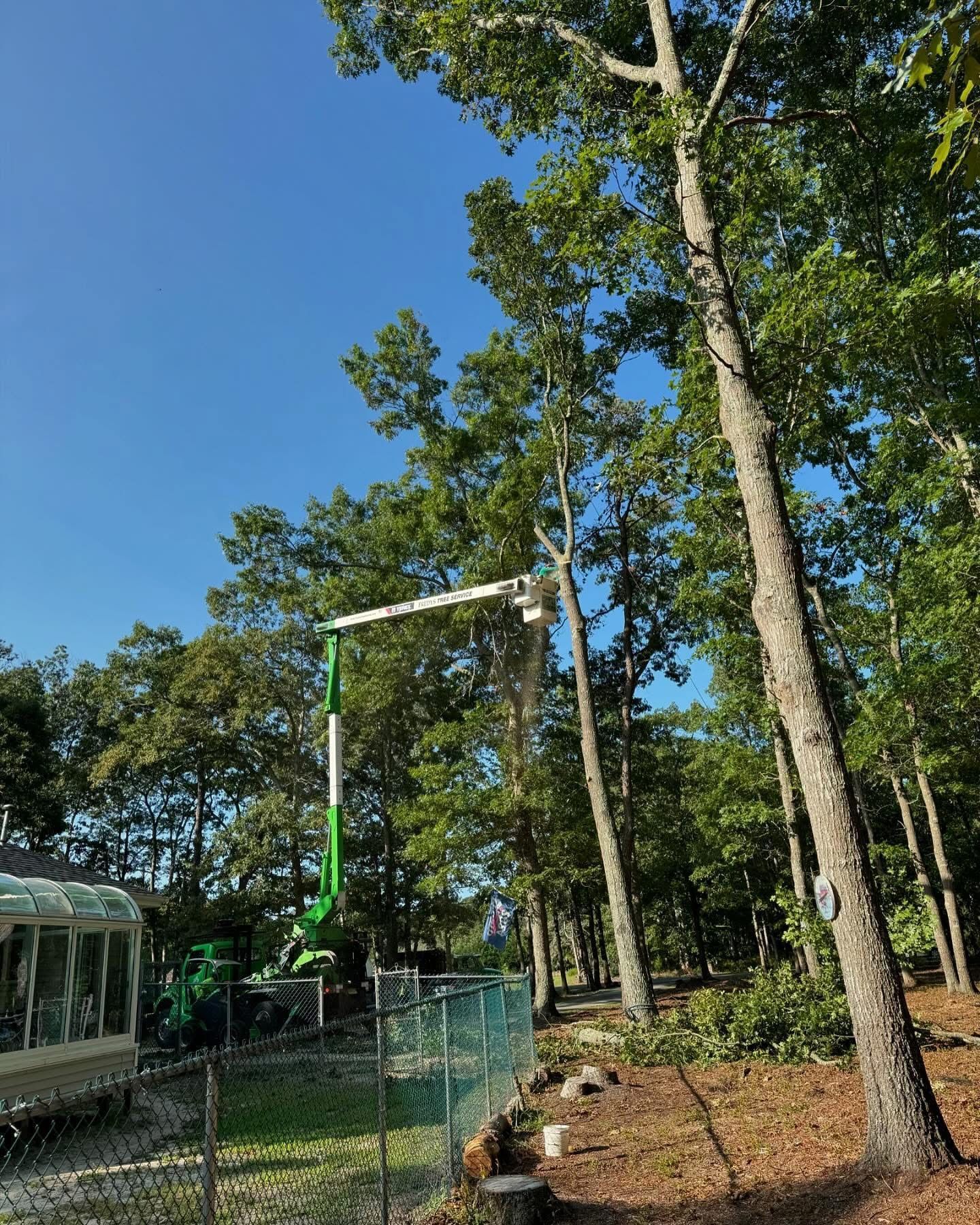 Tall green-and-white construction lift beside trees and a fence under a clear blue sky