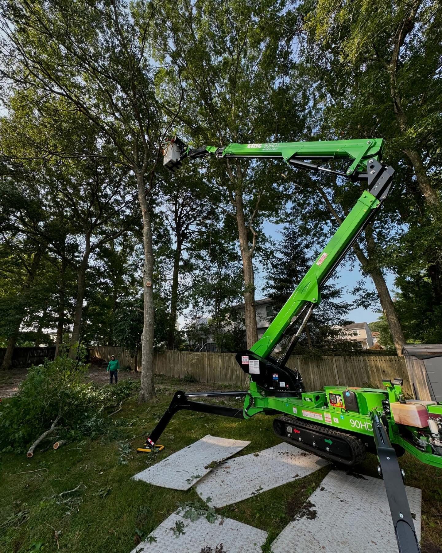 Green boom lift among tall trees in a yard, with white sheets on the ground.