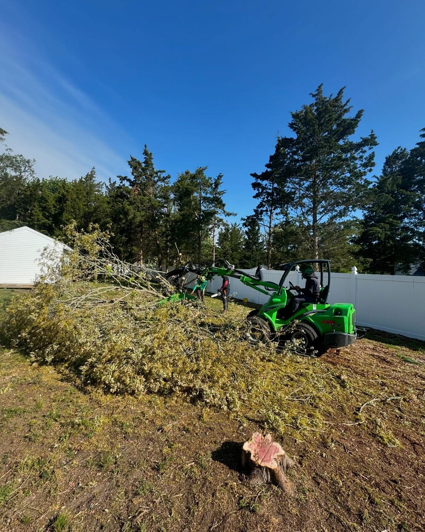 Green tractor mulches a brush pile in a sunny backyard with trees and a white fence.