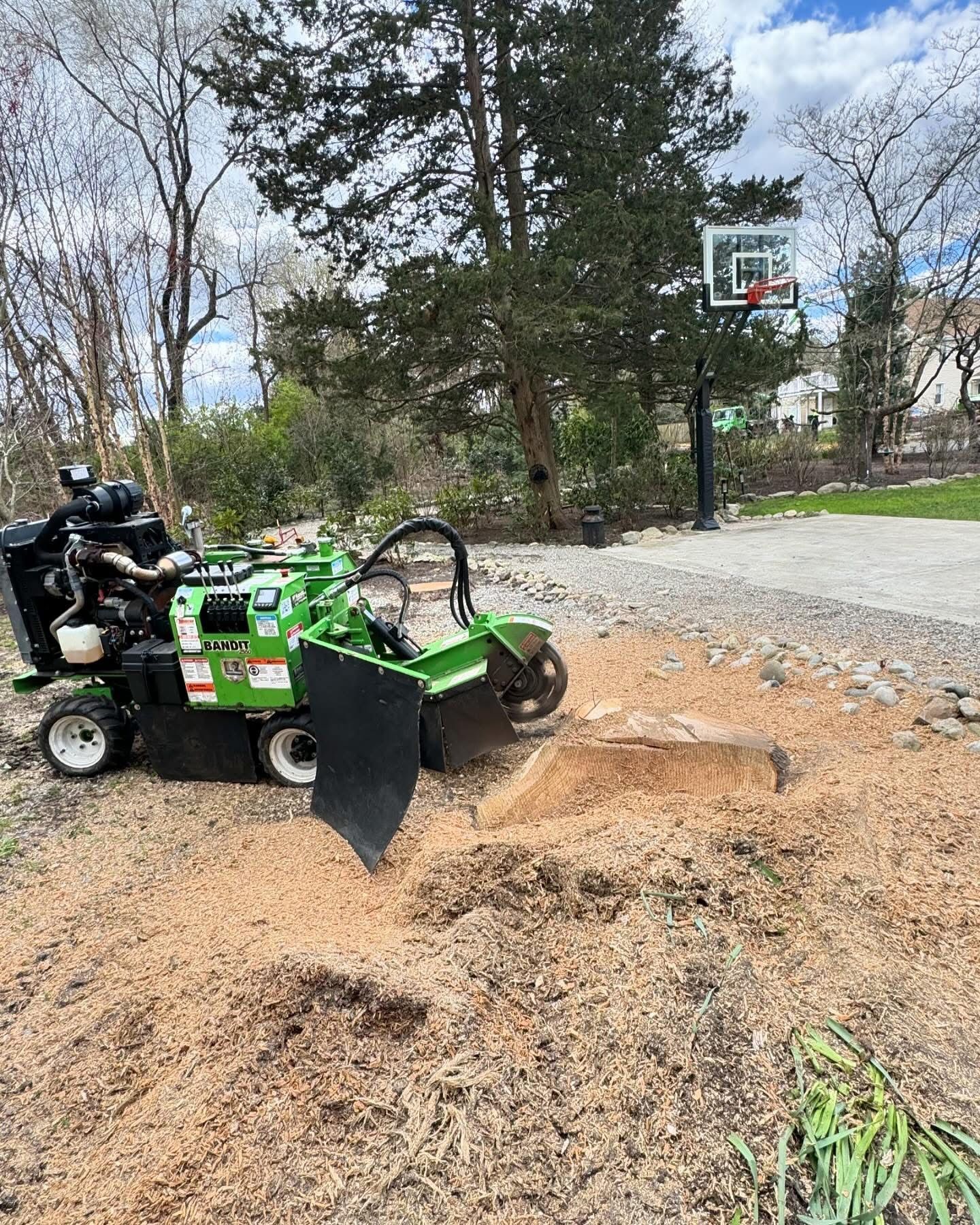 Green stump grinder working in a yard, chipping wood near a gravel path and basketball hoop.