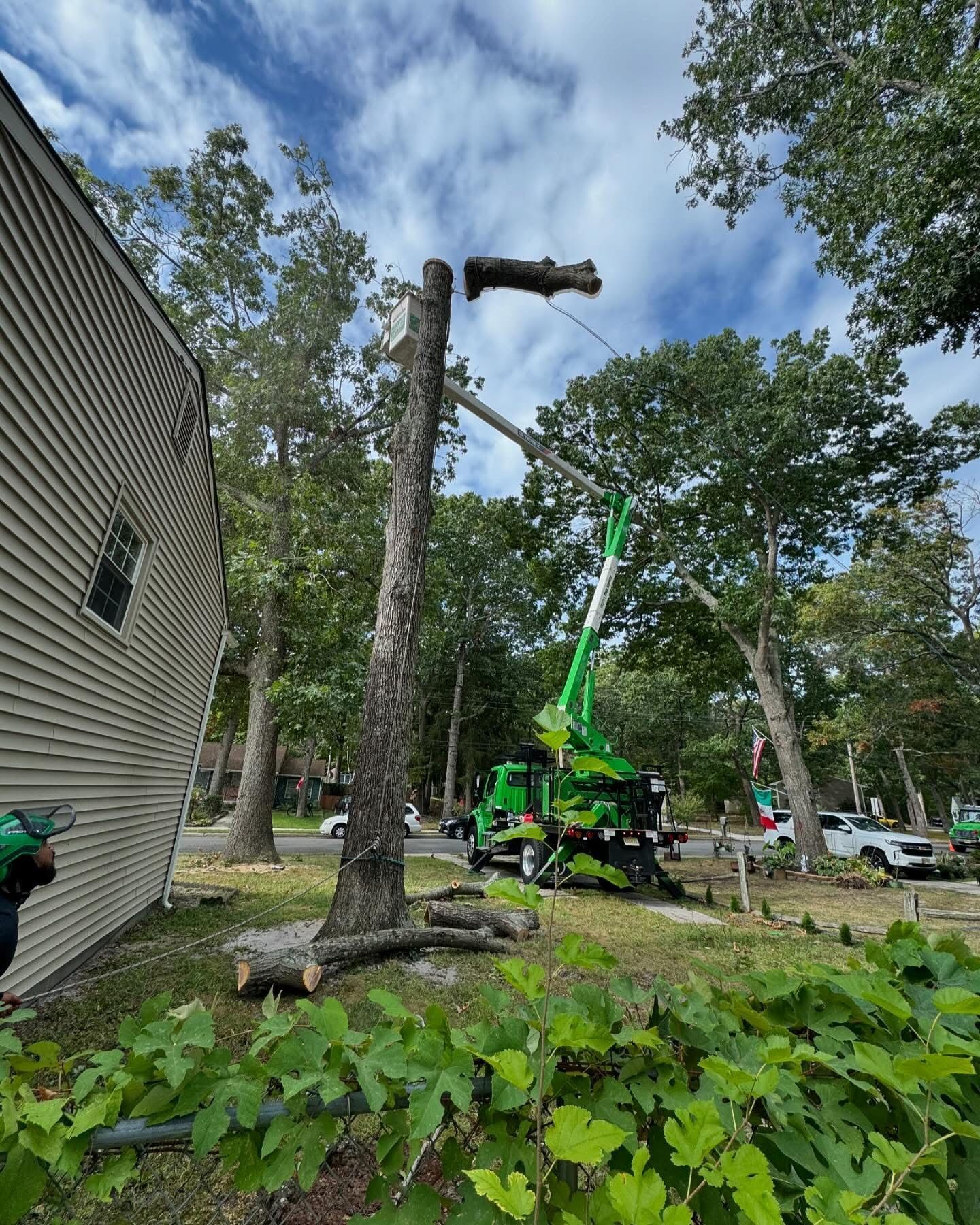 Tree removal crew using a green crane truck to cut a large tree beside a house, with logs on the ground