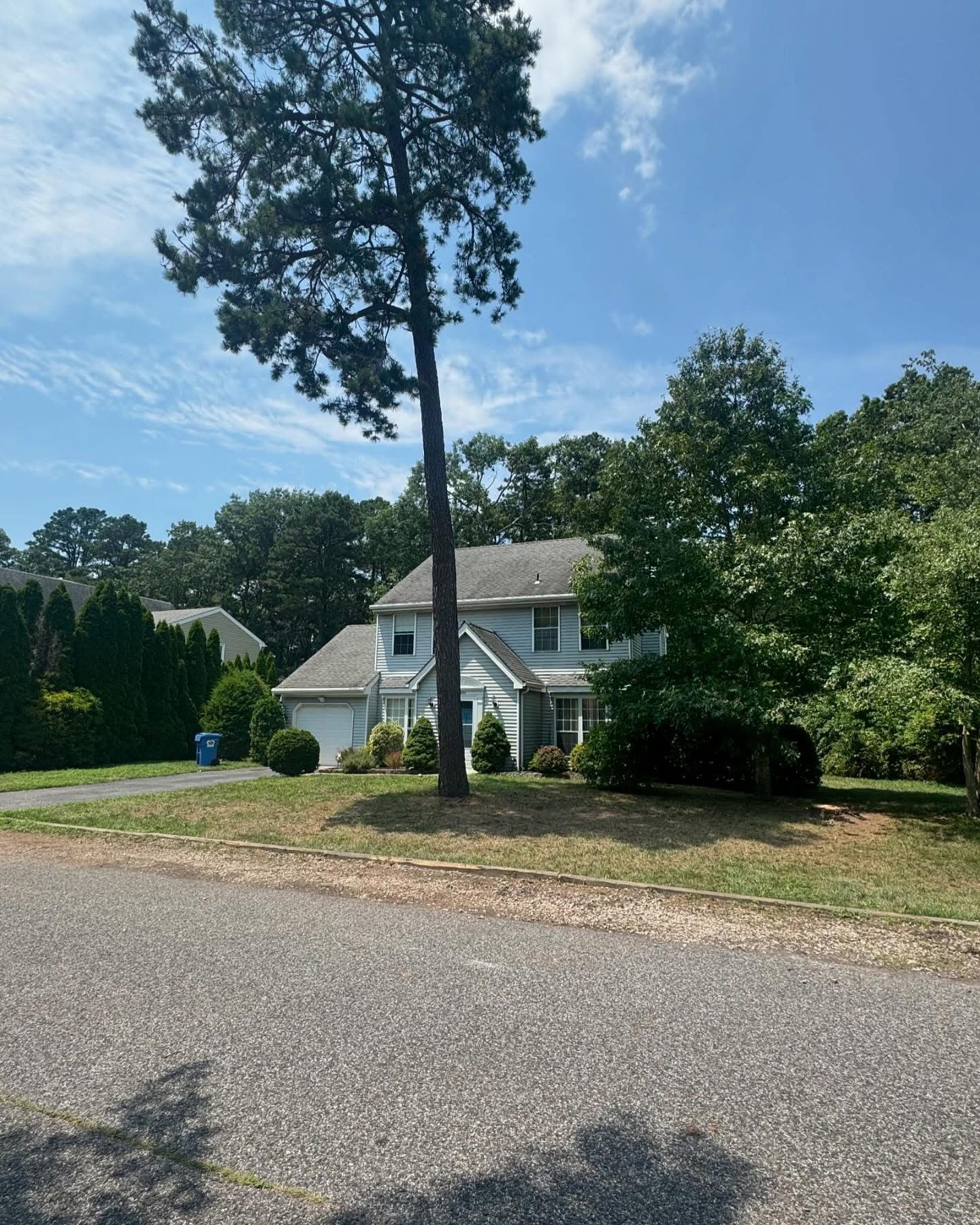 White house with a porch and tall pine tree beside a quiet street on a sunny day
