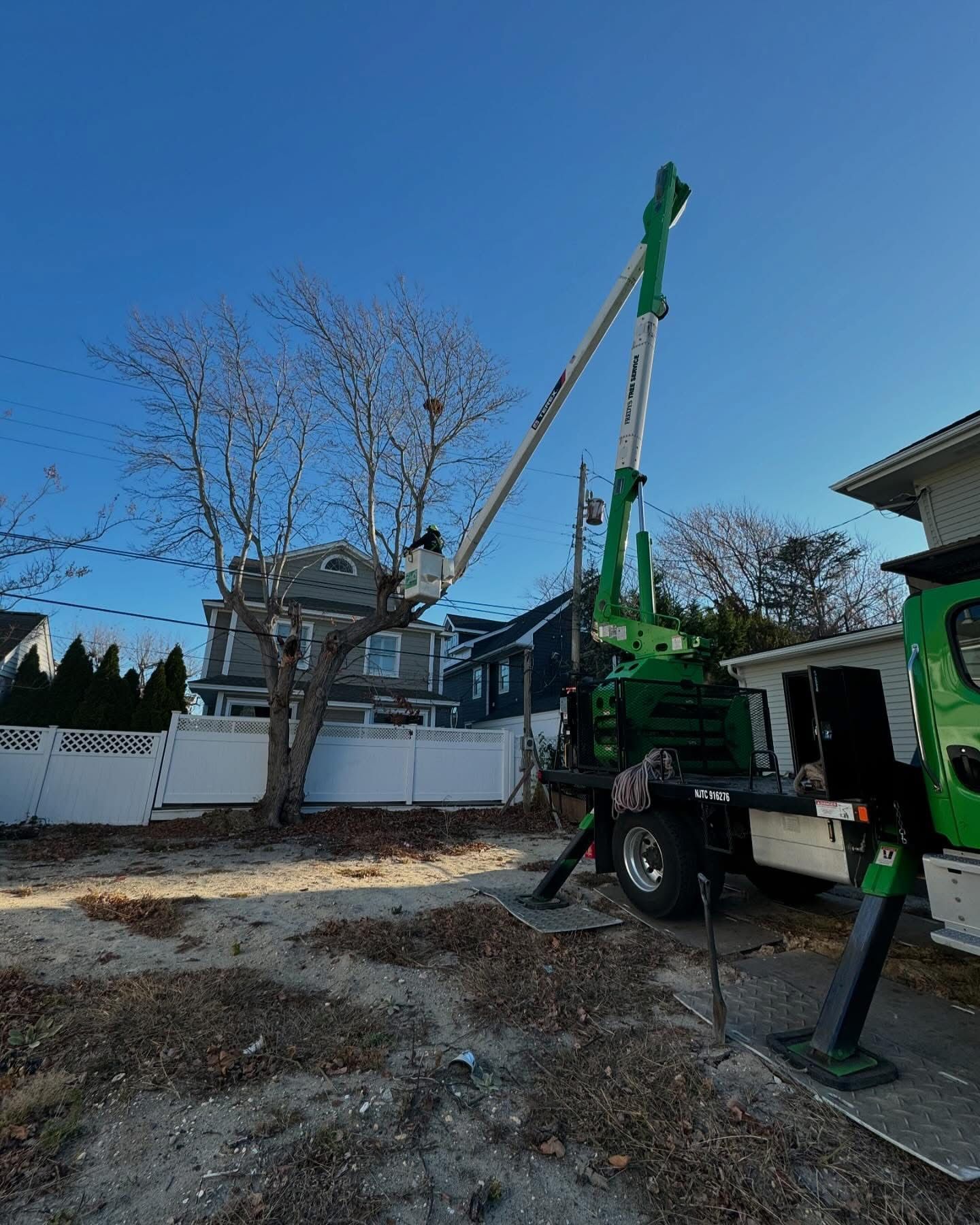 Green tree-lift truck trimming a leafless tree in a yard on a sunny day
