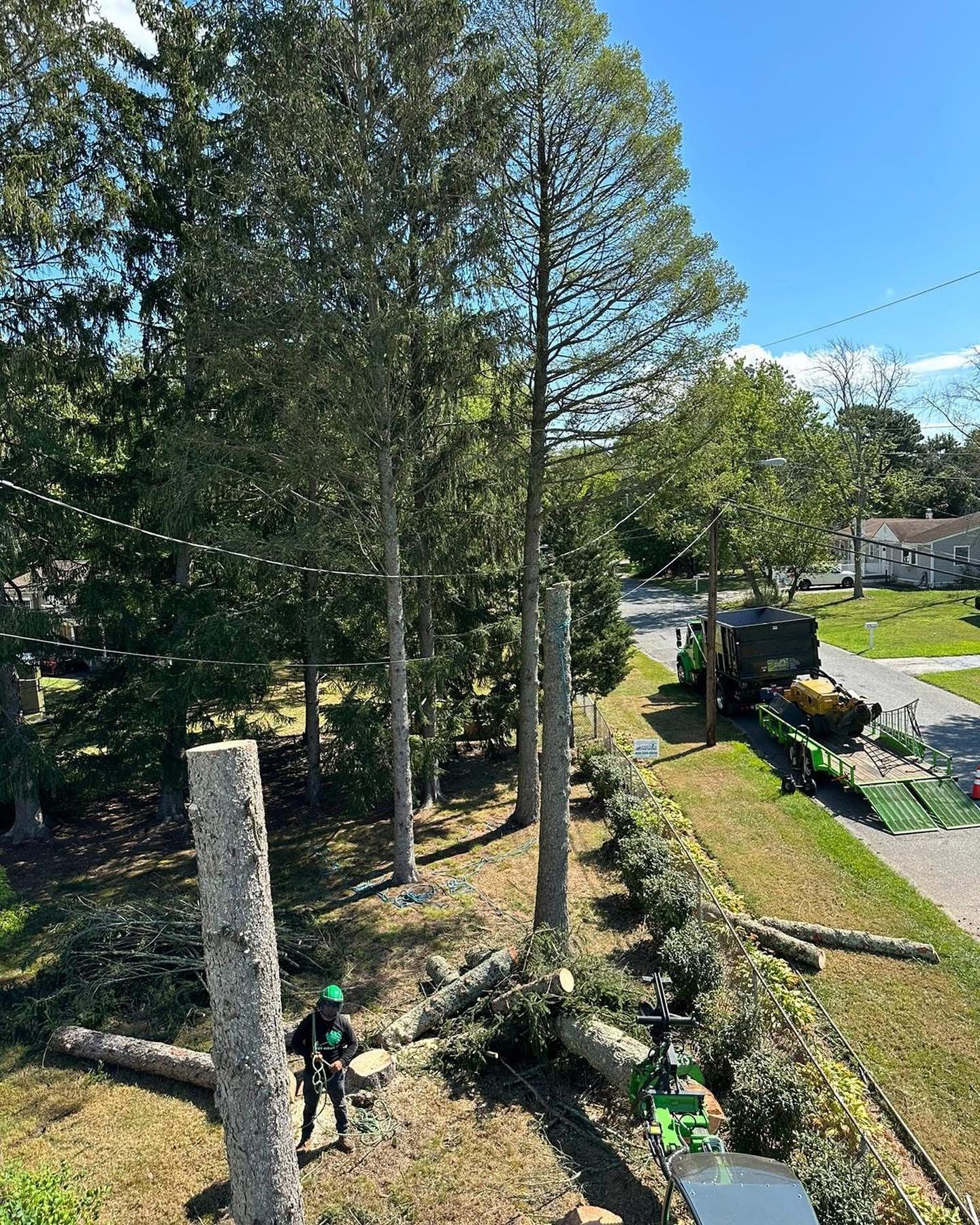 Tree-lined yard with two workers trimming shrubs beside a stone pillar and driveway