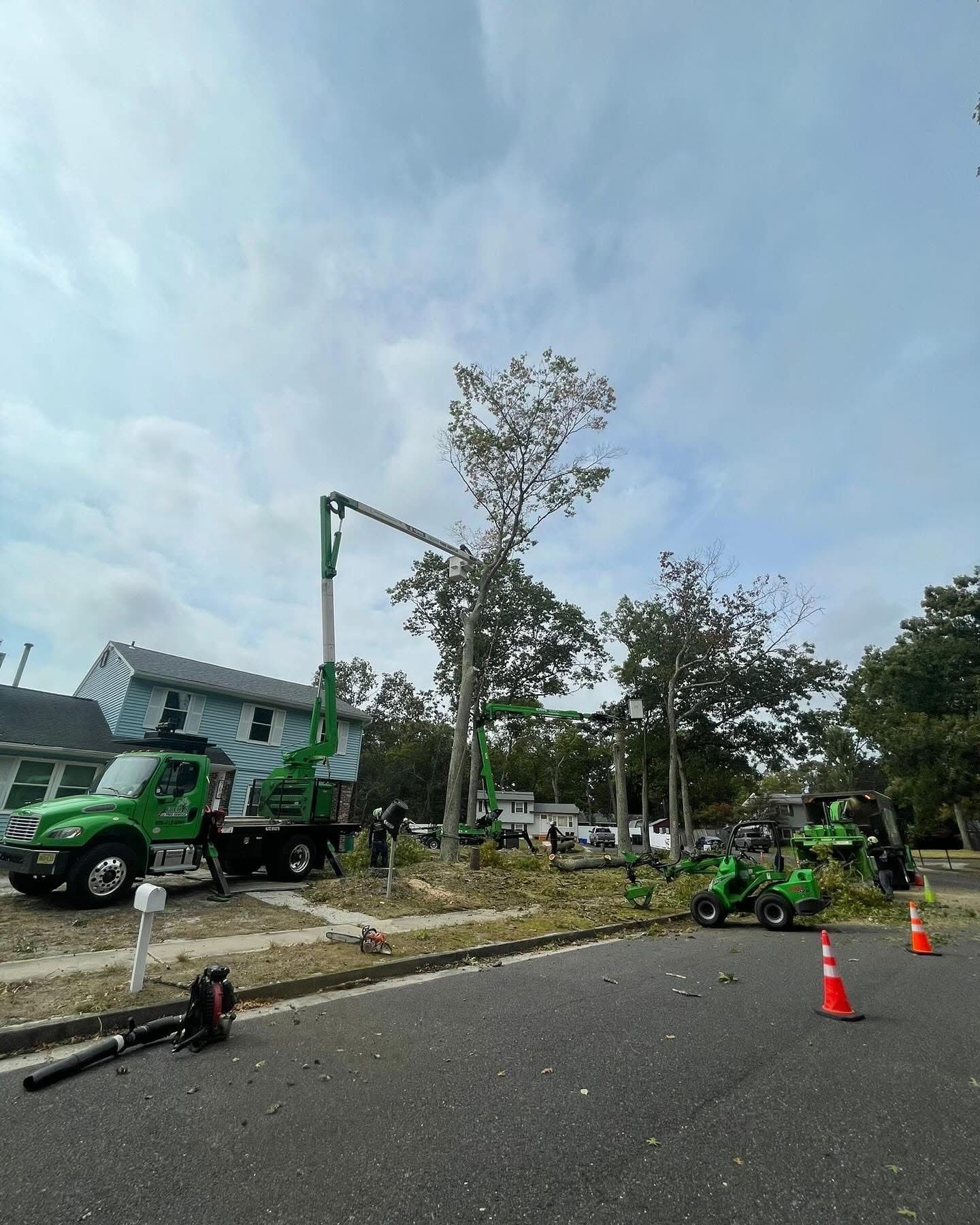 Roadside tree trimming with green lift trucks and workers, cones marking the work area.