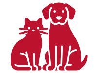 Apple Valley Animal Hospital