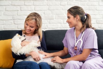 Apple Valley Animal Hospital