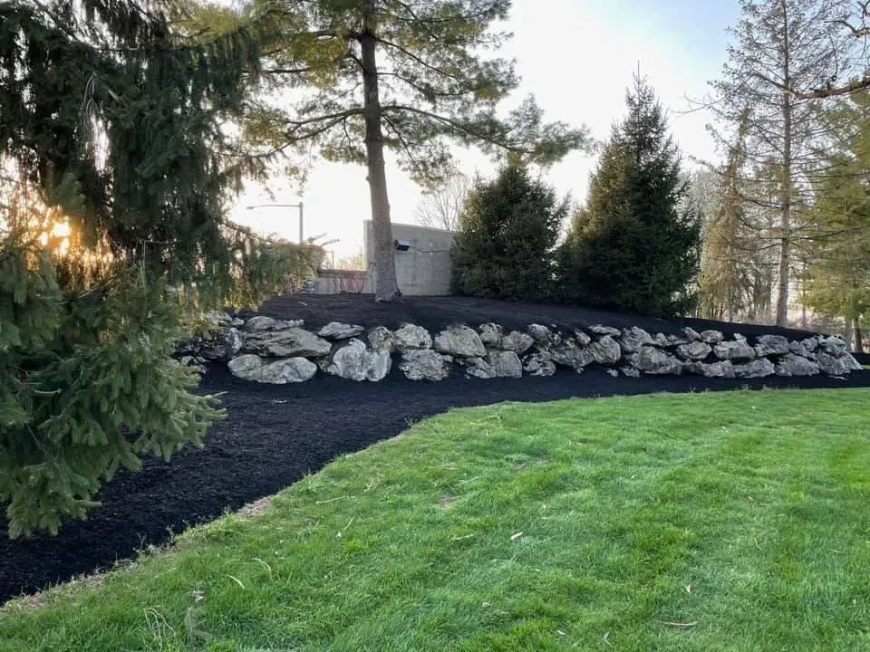 Landscape with a dark mulch bed, stone wall, and trees against a bright sky. Green grass in foreground.