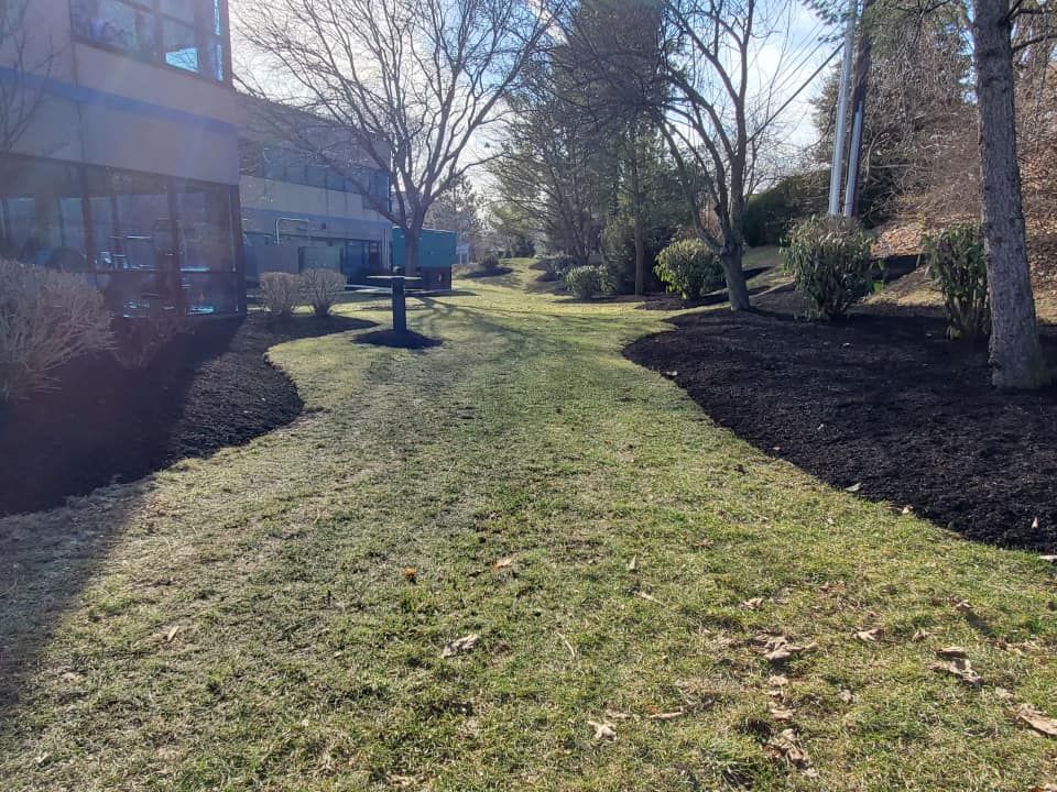 A grassy path flanked by dark mulch beds leads away from a building on a sunny day.