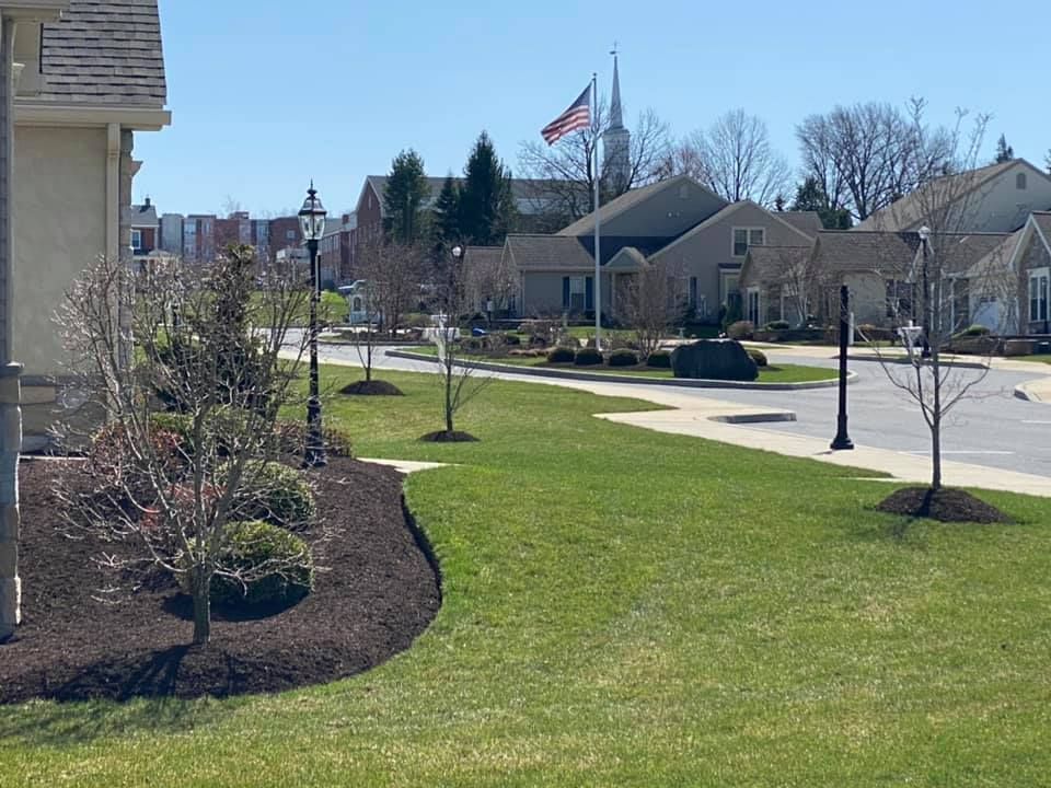 Residential street with manicured lawns, trees, and houses. An American flag flies near a church steeple on a sunny day.