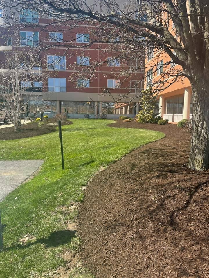 Lush green lawn with mulch border in front of a red brick building on a sunny day.