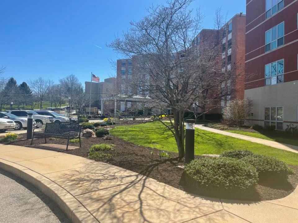 Exterior view of a brick building with a green lawn, parked cars, and a tree casting shadows on the sidewalk.