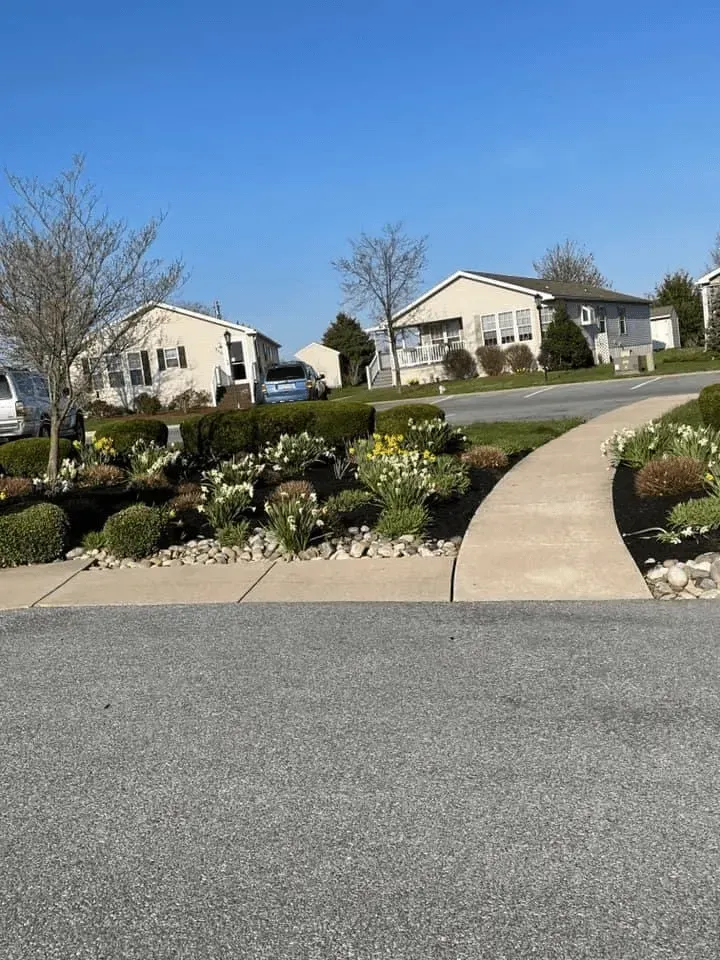 A sunny suburban street with houses, a curved sidewalk, and well-manicured landscaping with flowering plants.