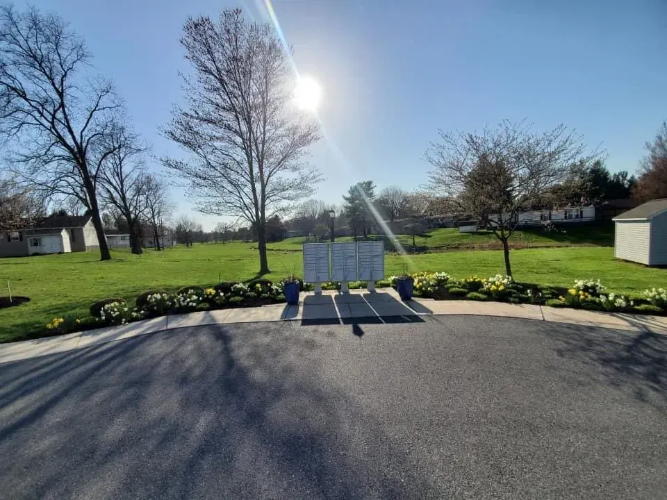 Bright sunny day, empty asphalt, signs on stand, green grass, and small trees.