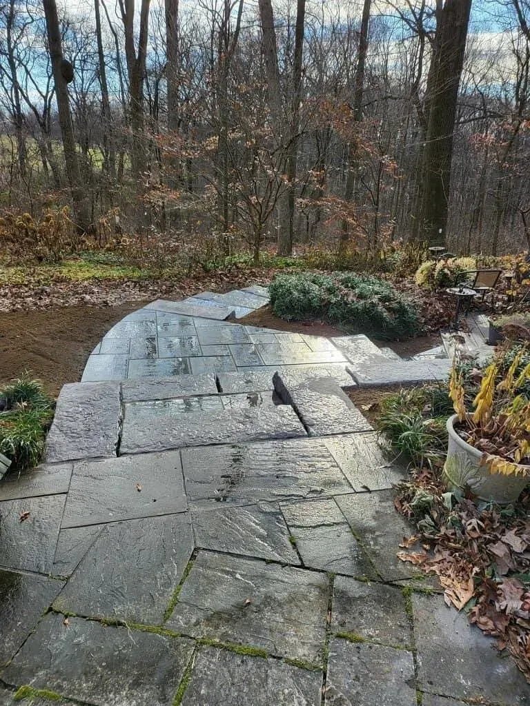 Stone pathway in a wooded area; steps lead uphill.