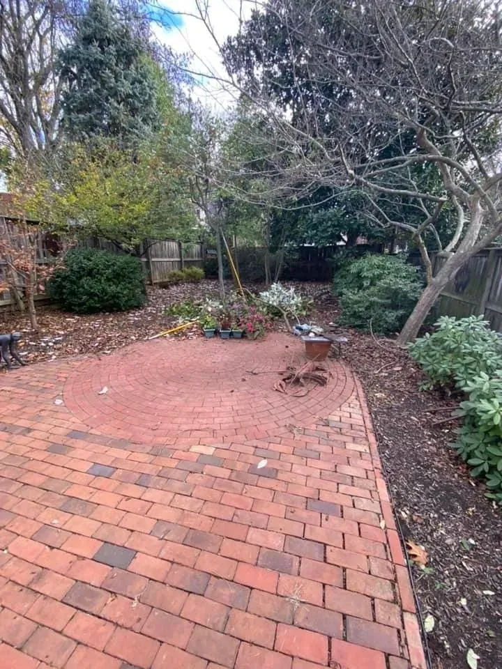 Brick patio in a backyard with trees and shrubs.