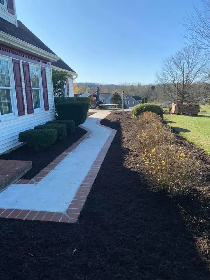 A brick-lined concrete walkway winds past bushes and a house with red shutters on a sunny day.