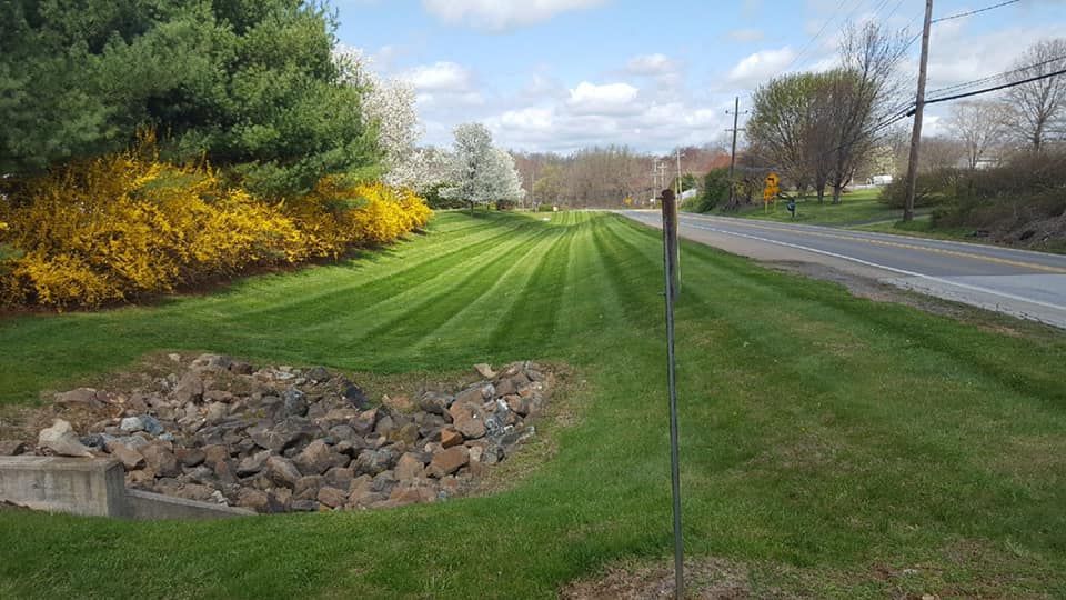 Lawn with freshly mown stripes, yellow flowering bush, road, and rocks, under a partly cloudy sky.