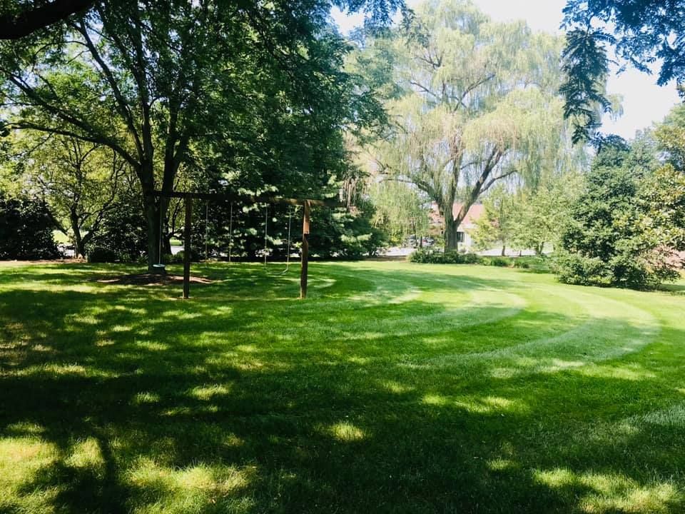 Swing set in a sunny park with mowed green grass and large trees.