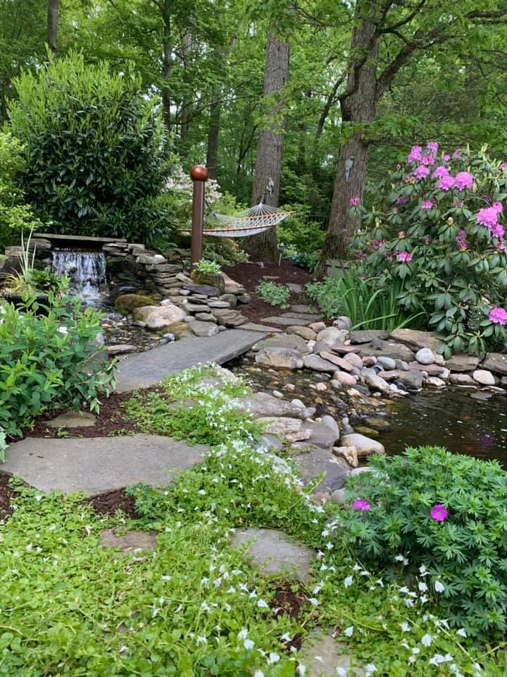 Stone path winds through lush garden with waterfall, pond, and blooming rhododendron.