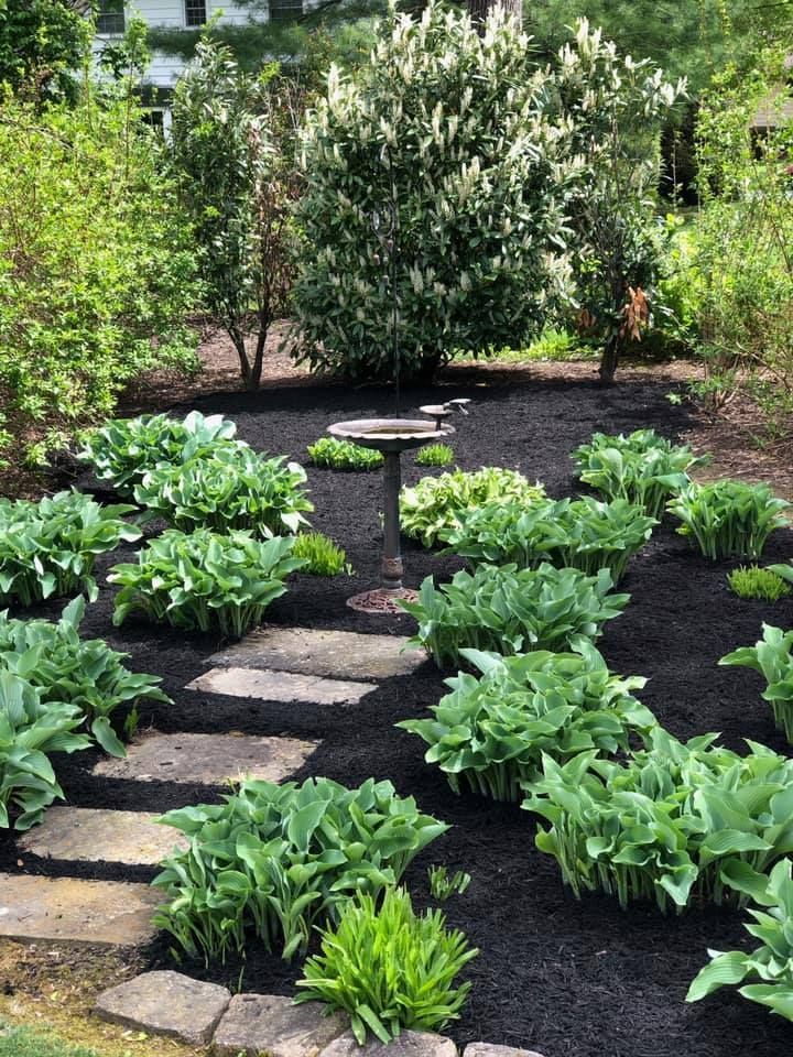 Stone path through a garden of hostas, birdbath in the center, mulched beds, and trees in the background.