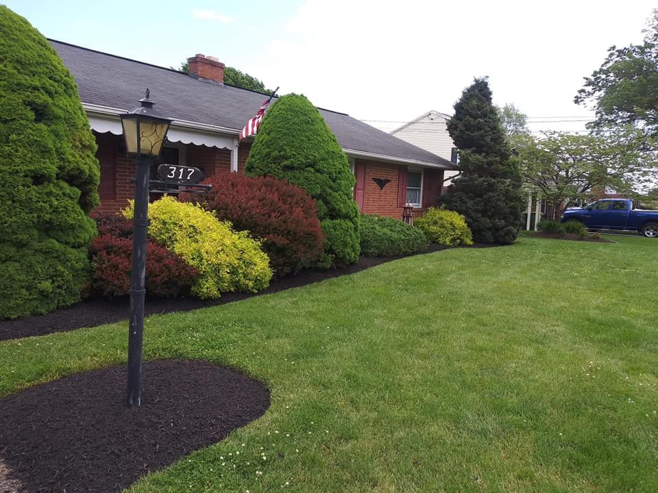 Landscaped front yard with a house, lamppost, and various colorful bushes.